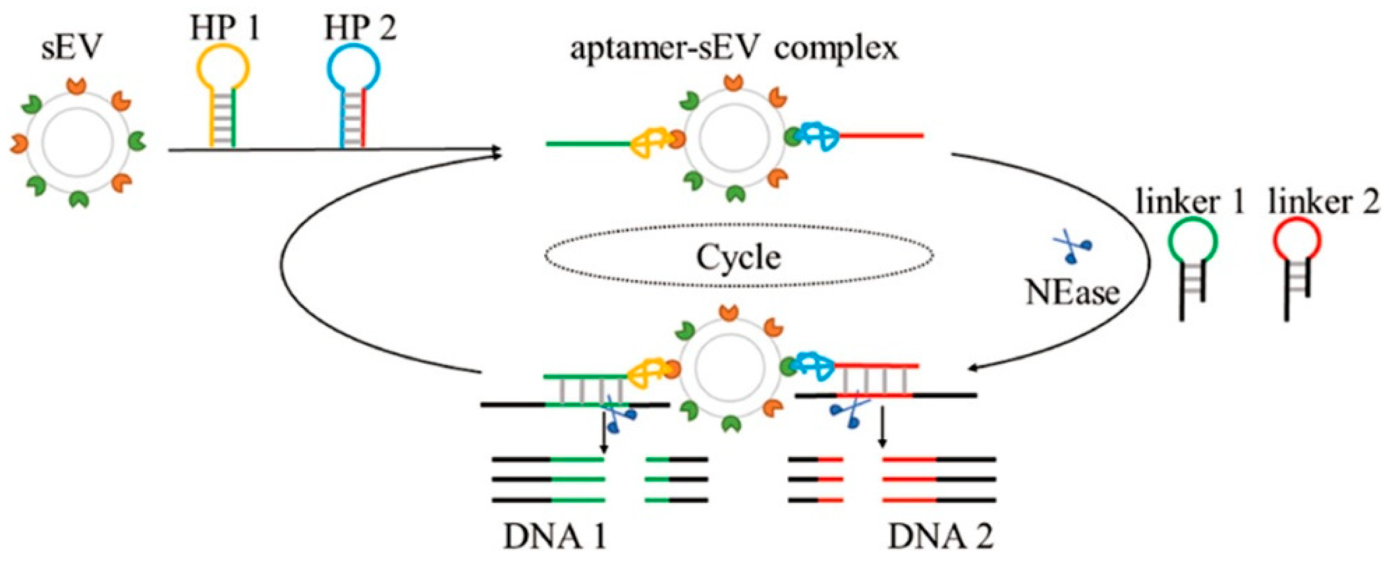 Catalysts 12 00712 g009 Catalysts 12 00712 g009