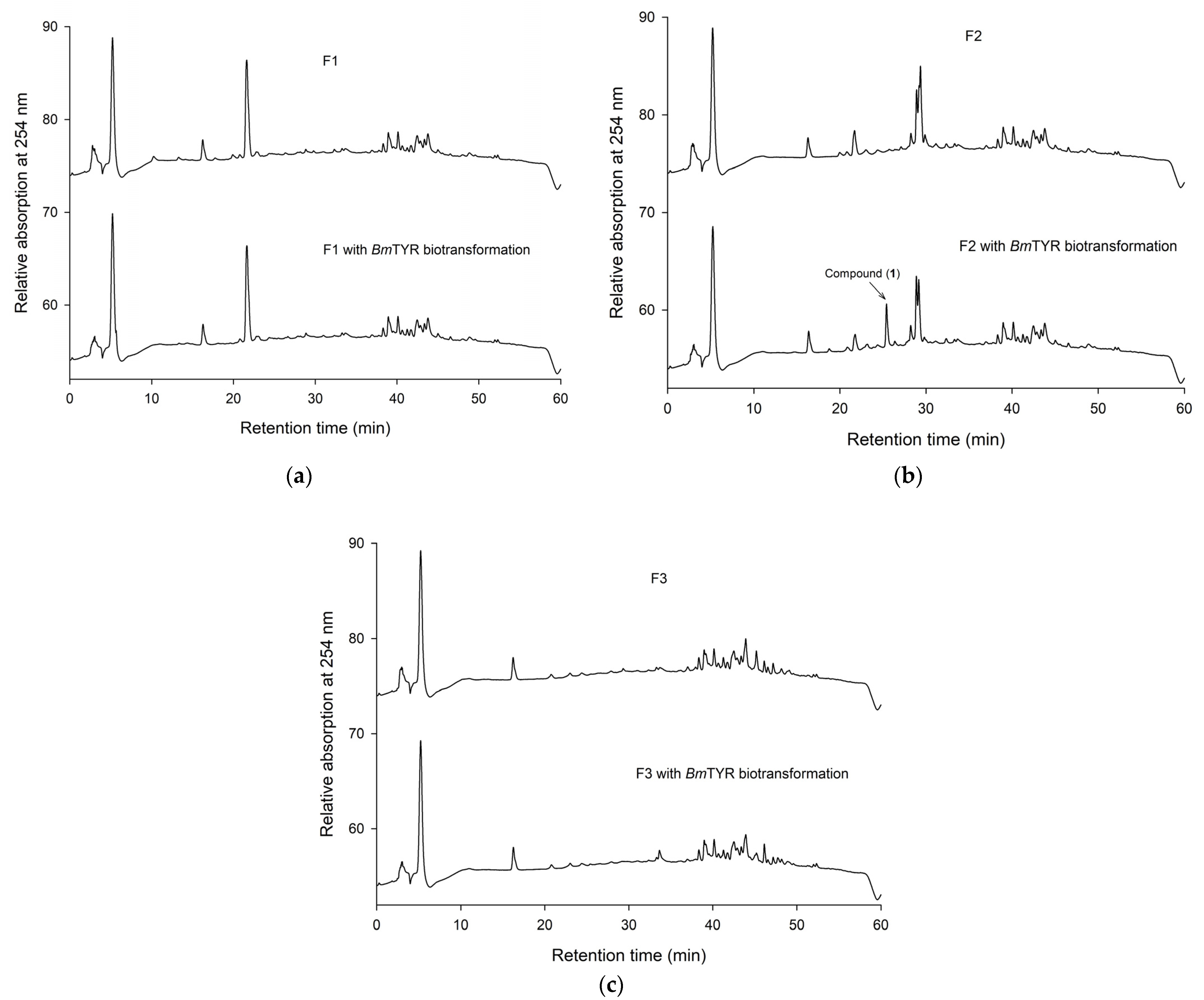 Catalysts 12 00718 g003