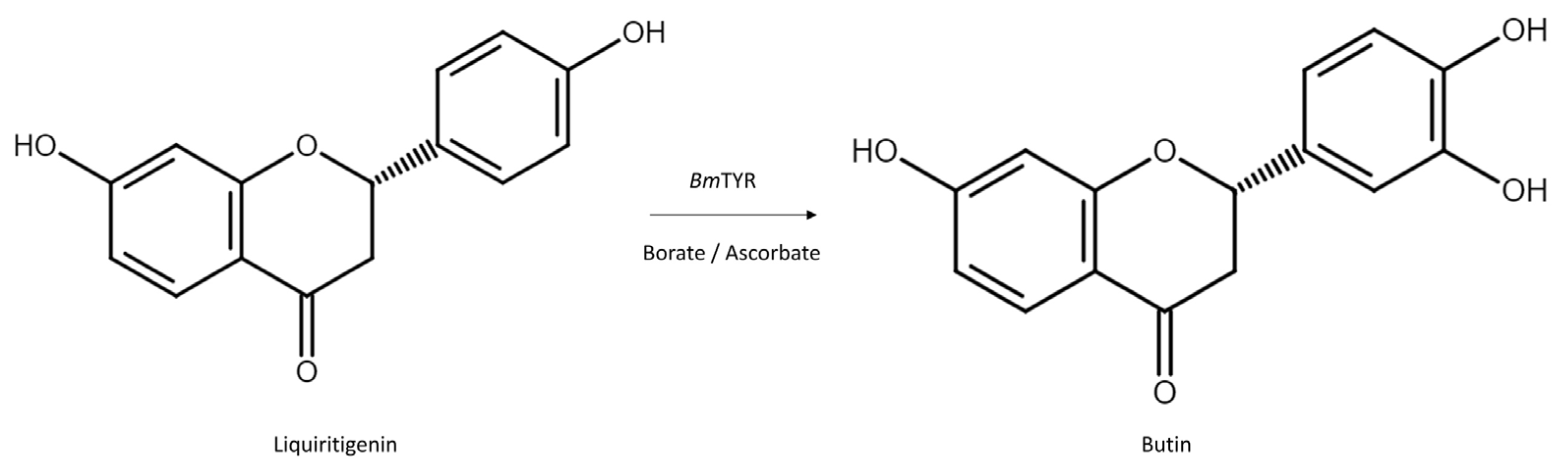 Catalysts 12 00718 g006