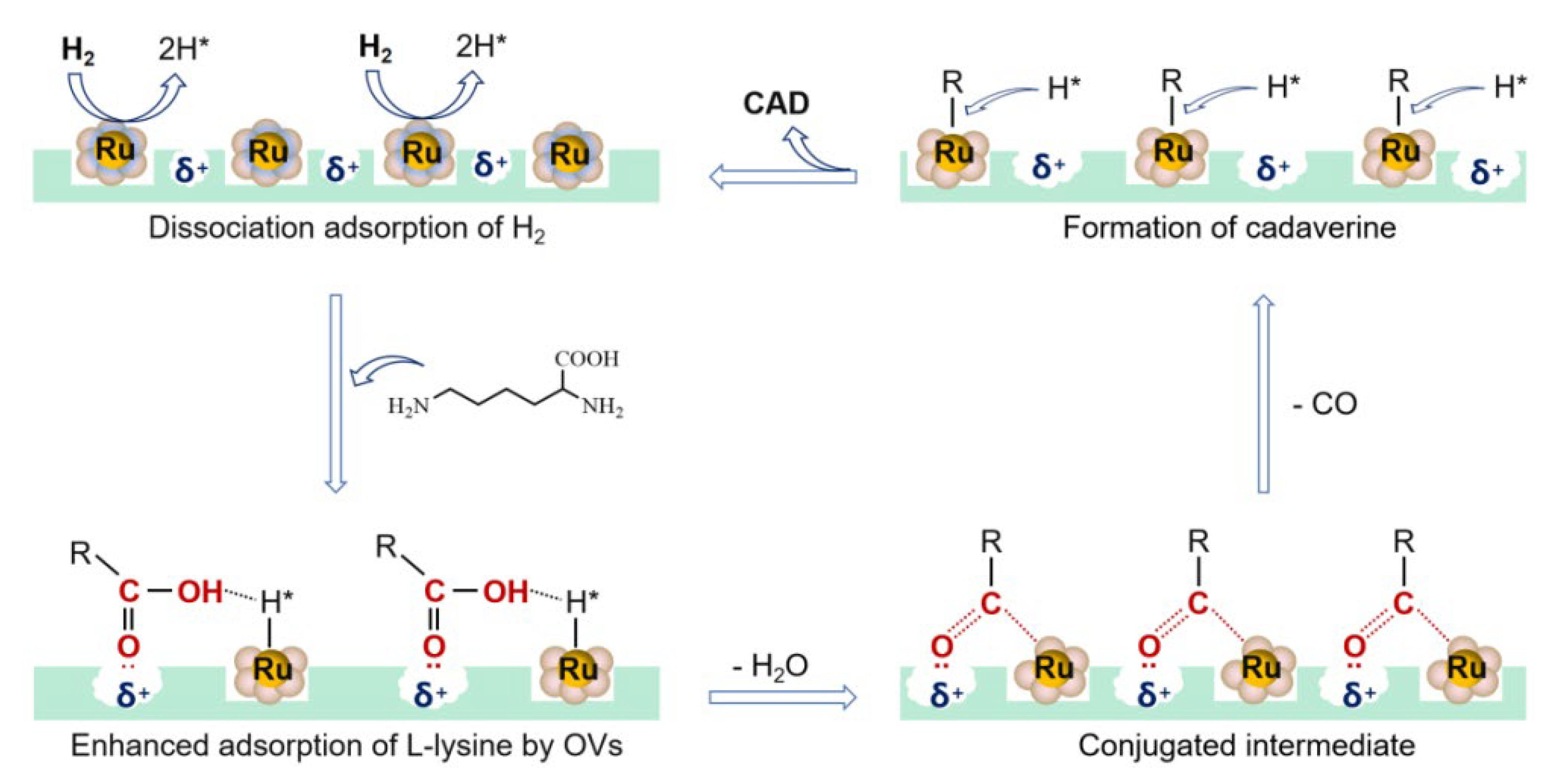 Catalysts 12 00733 g008