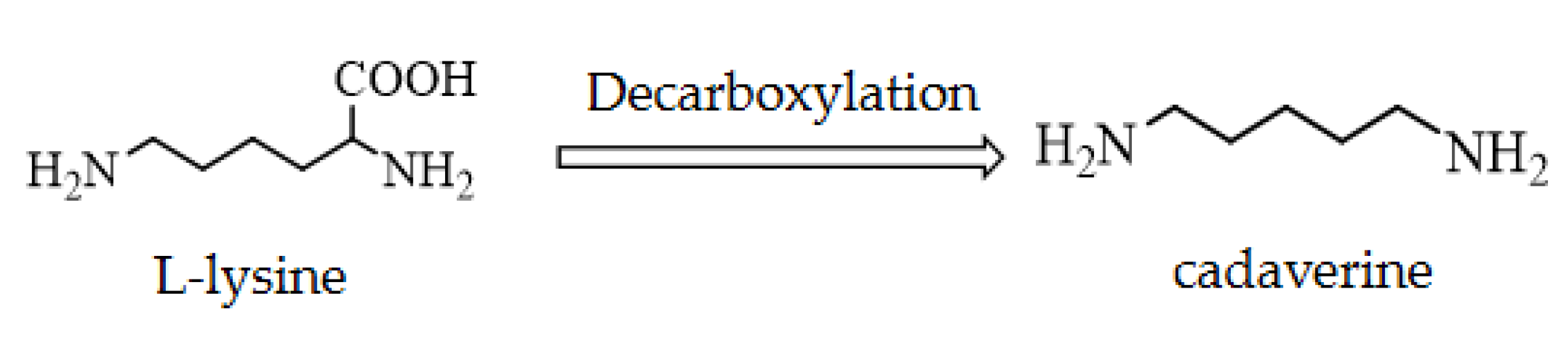 Catalysts 12 00733 sch001