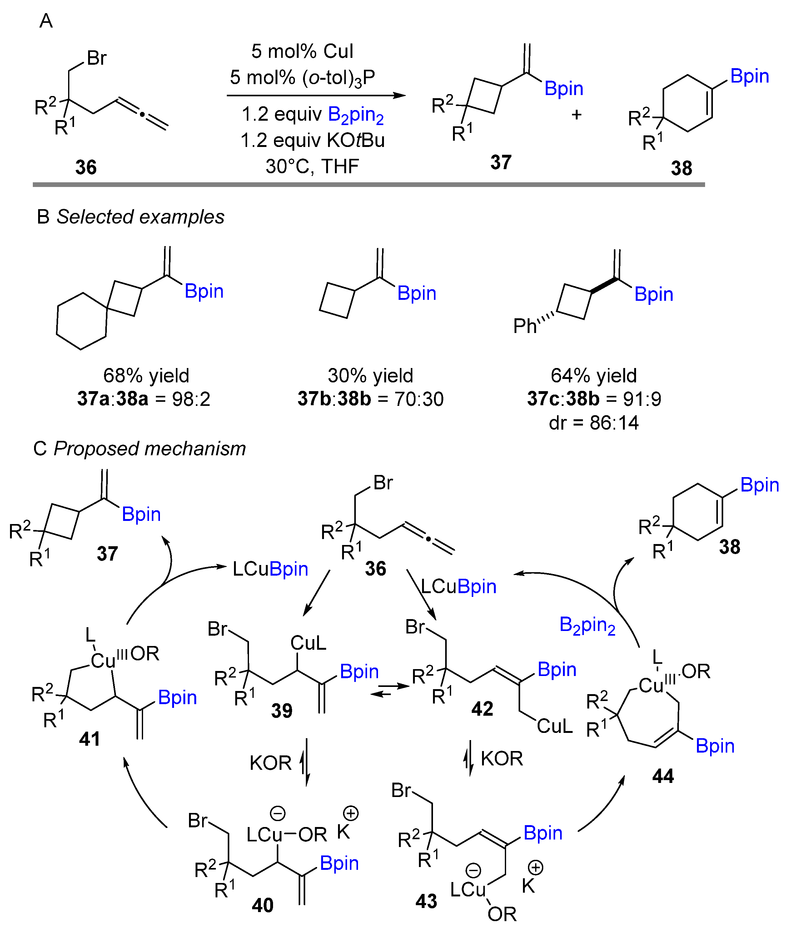 Catalysts 12 00734 sch017