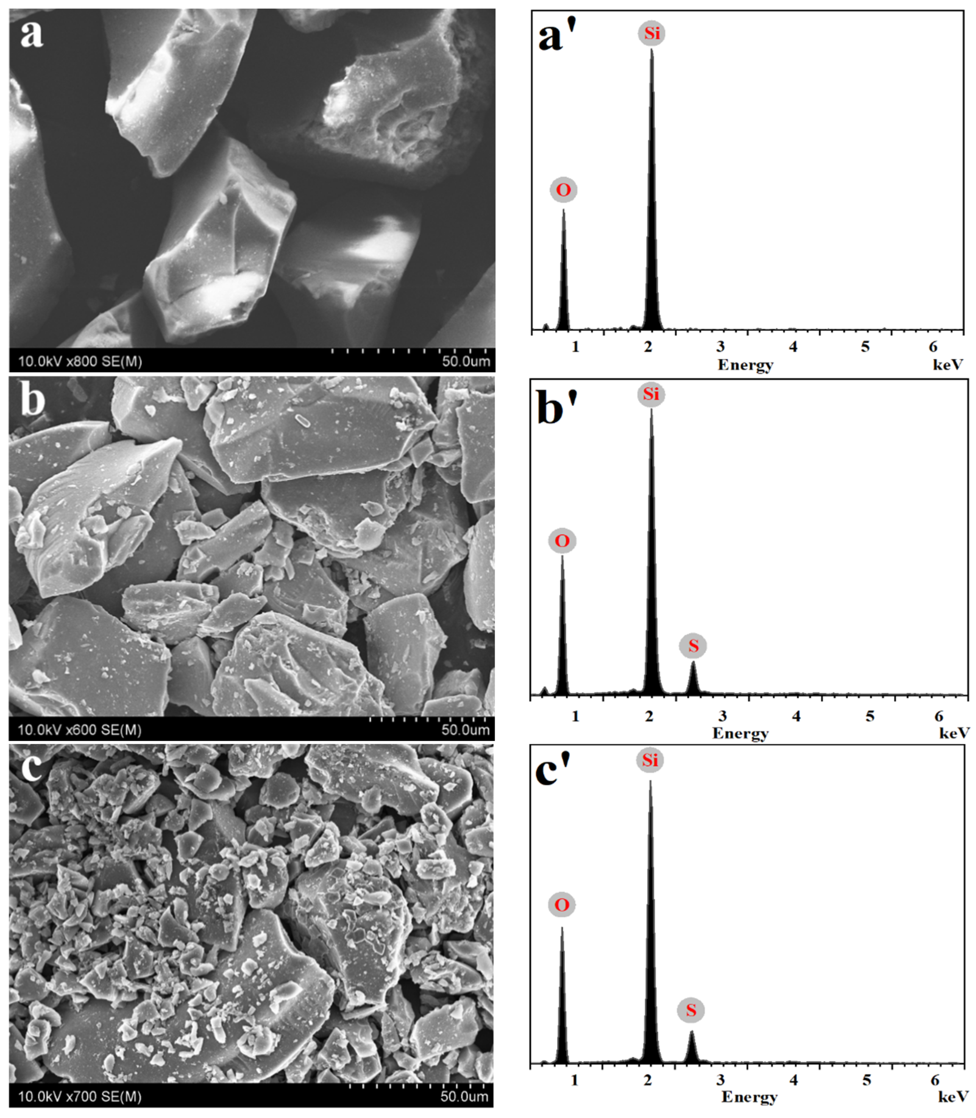 Catalysts 12 00737 g002