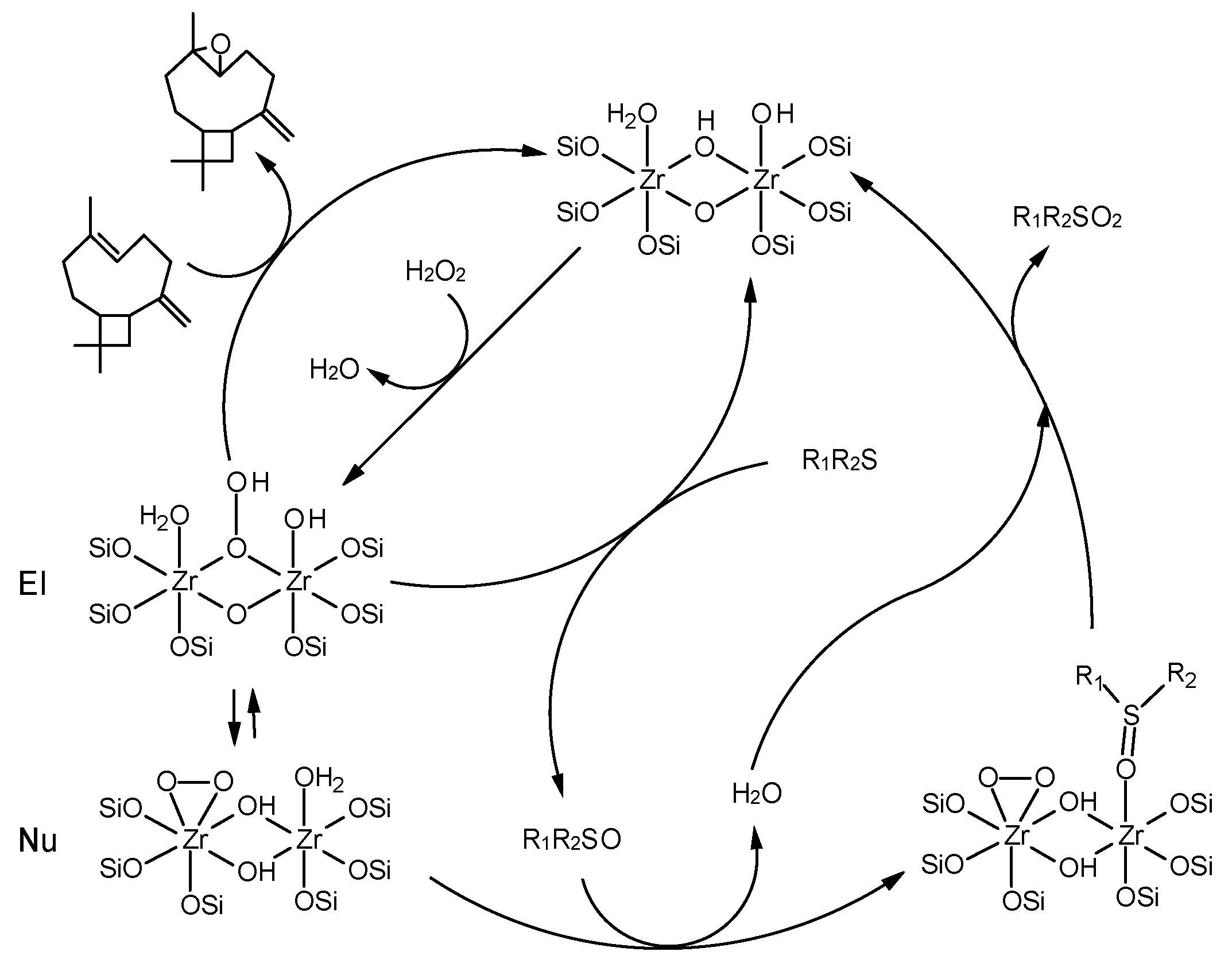 Catalysts 12 00742 sch004