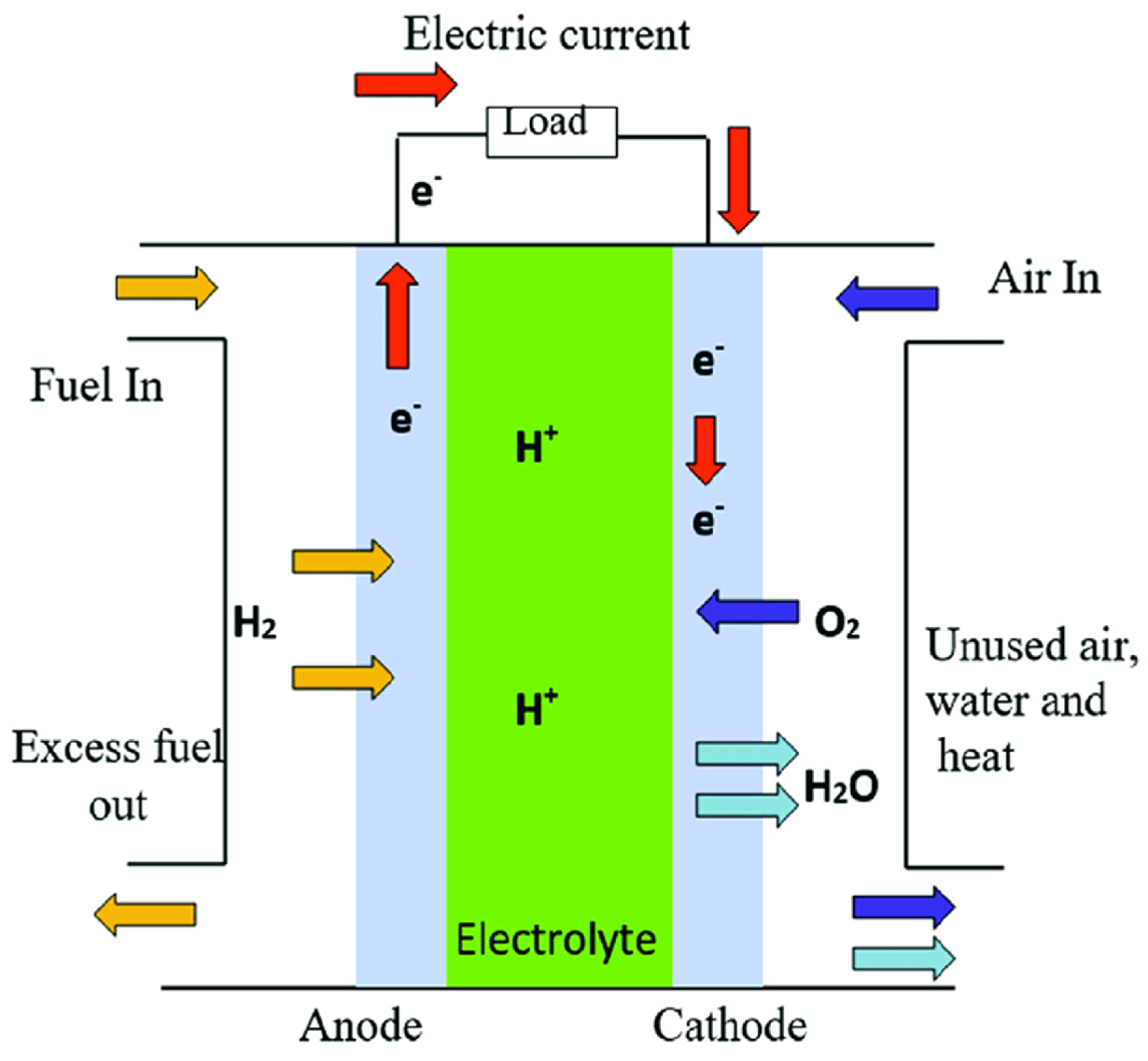 Catalysts 12 00743 g002