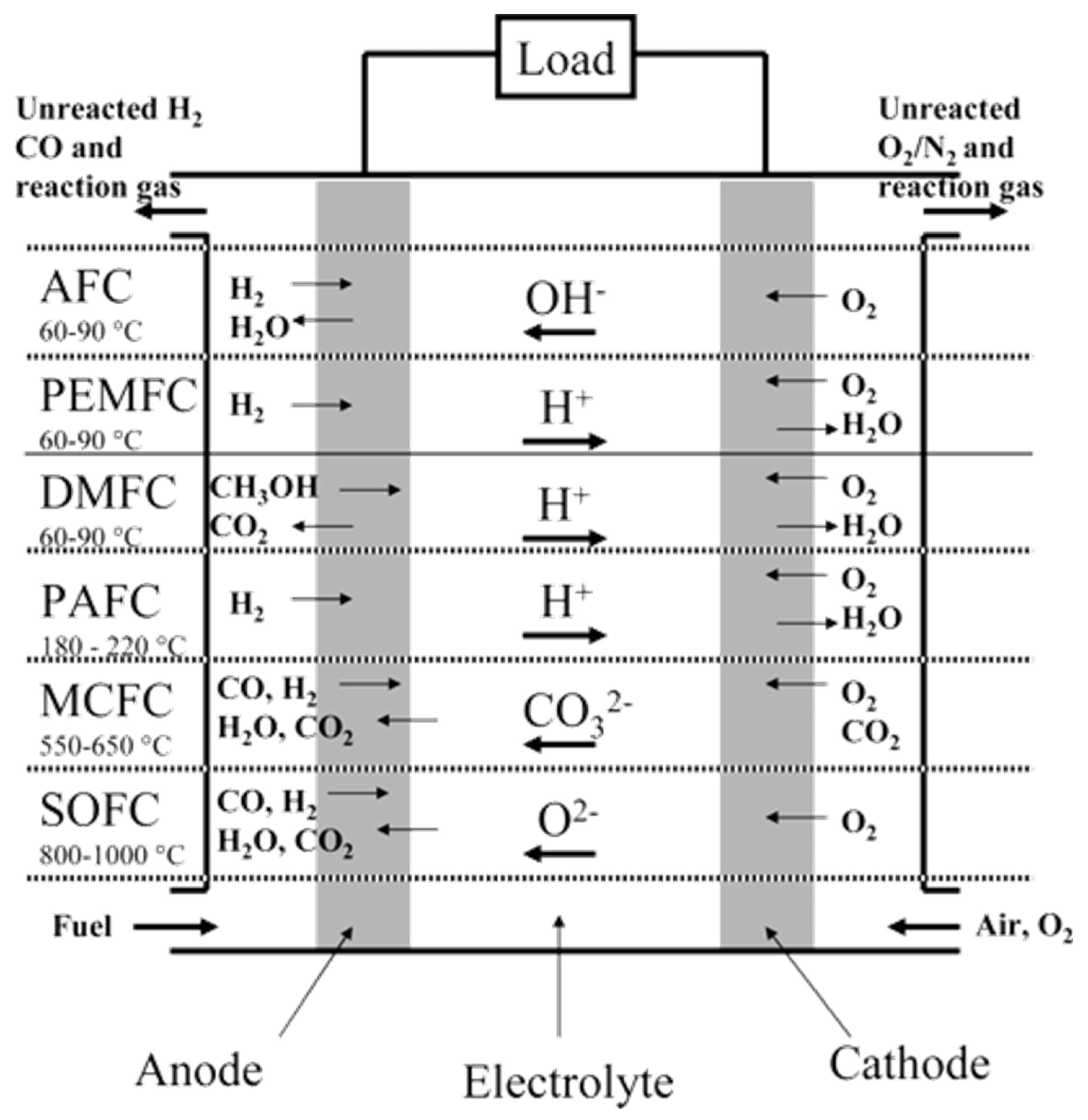 Catalysts 12 00743 g003
