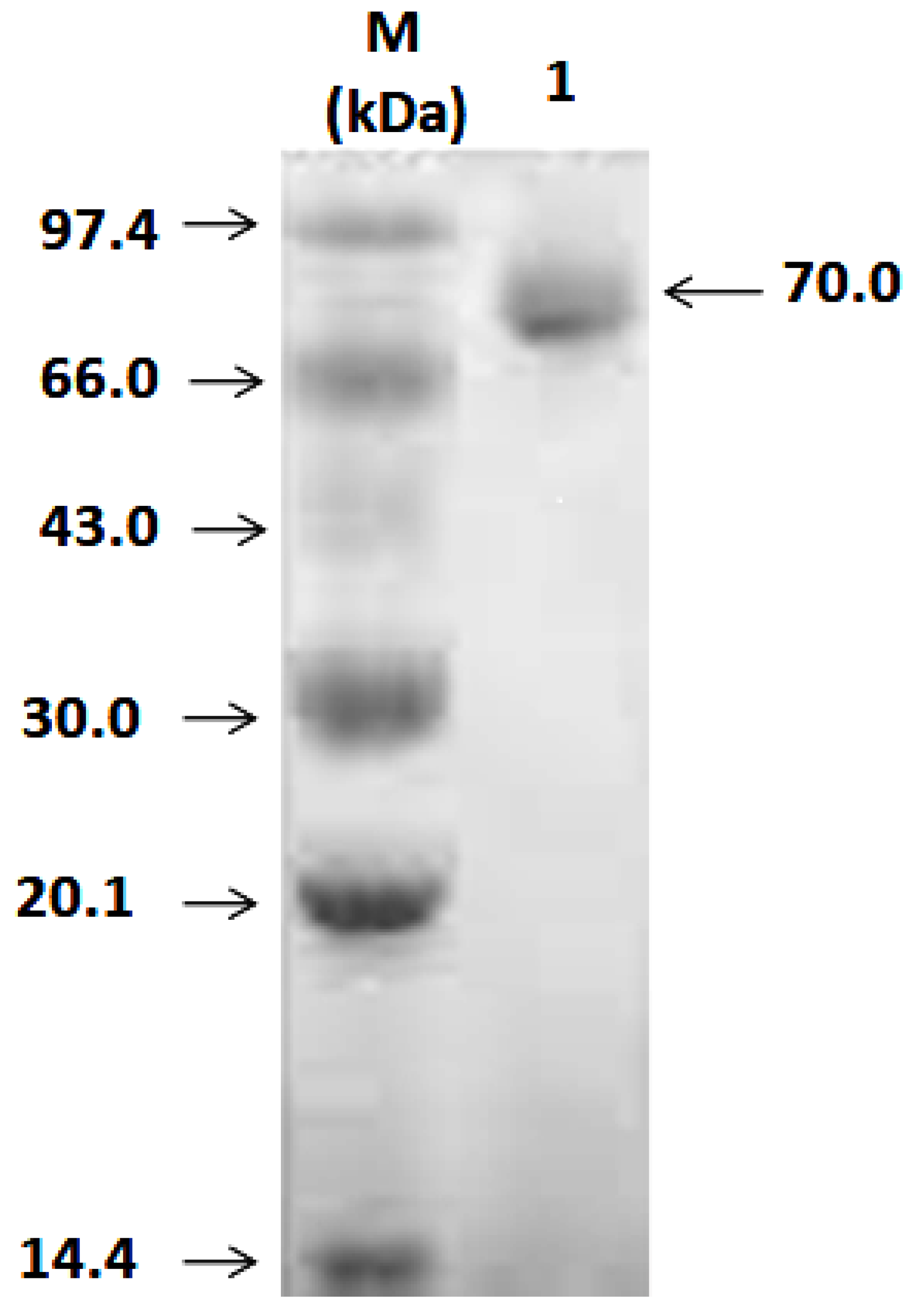 Catalysts 12 00749 g002 Catalysts 12 00749 g002