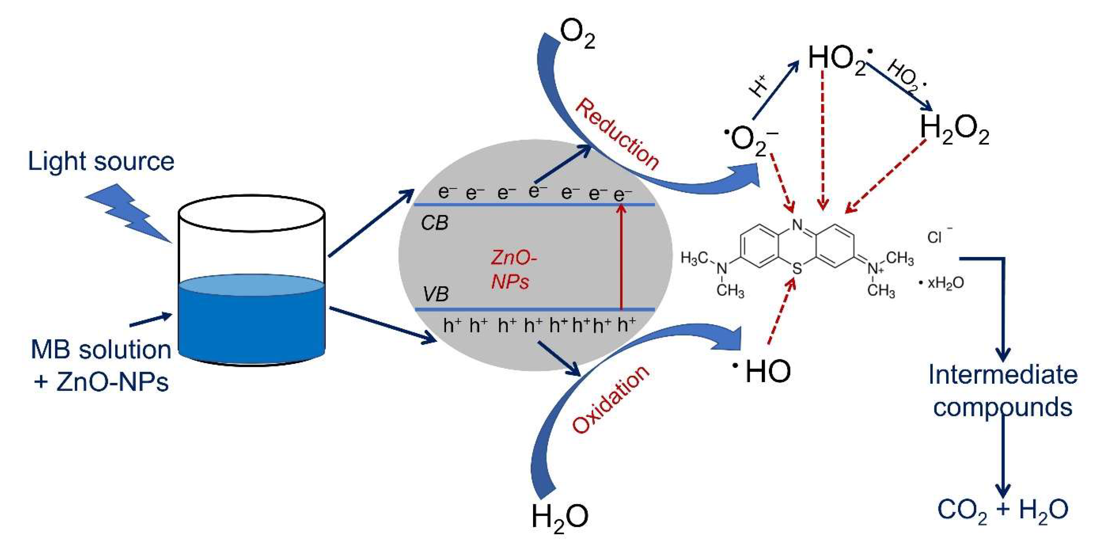 Catalysts 12 00756 g007