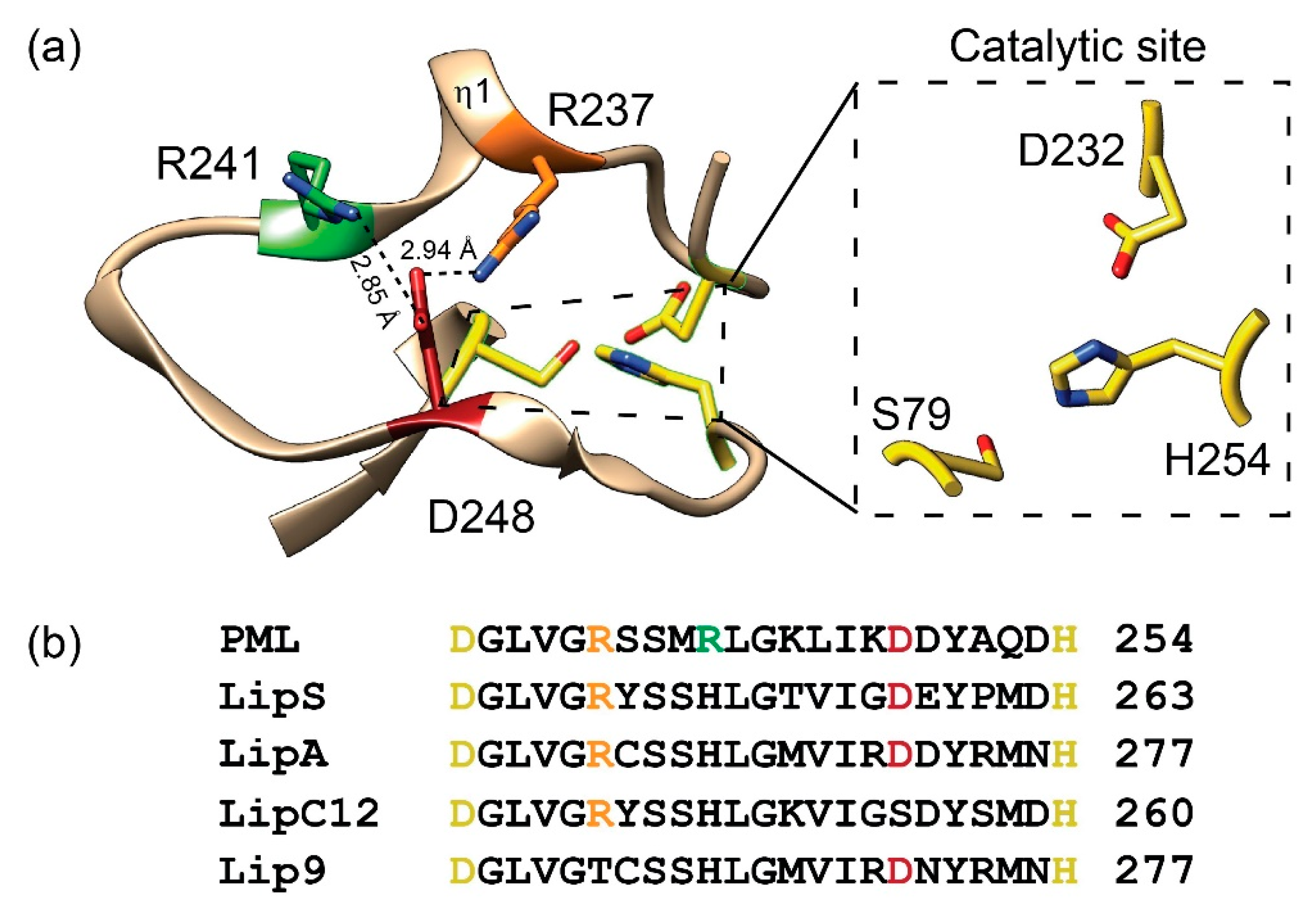 Catalysts 12 00761 g001 Catalysts 12 00761 g001