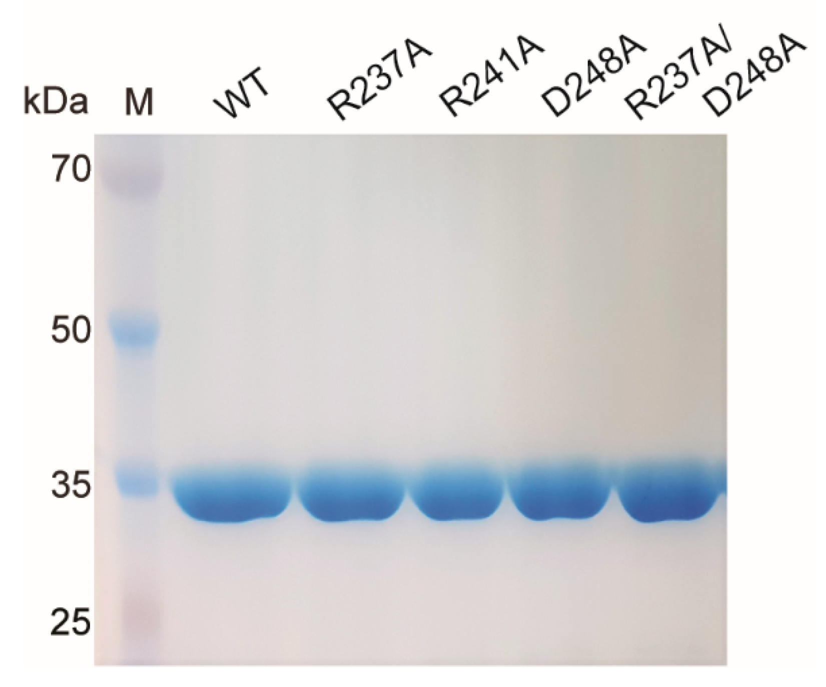 Catalysts 12 00761 g002 Catalysts 12 00761 g002