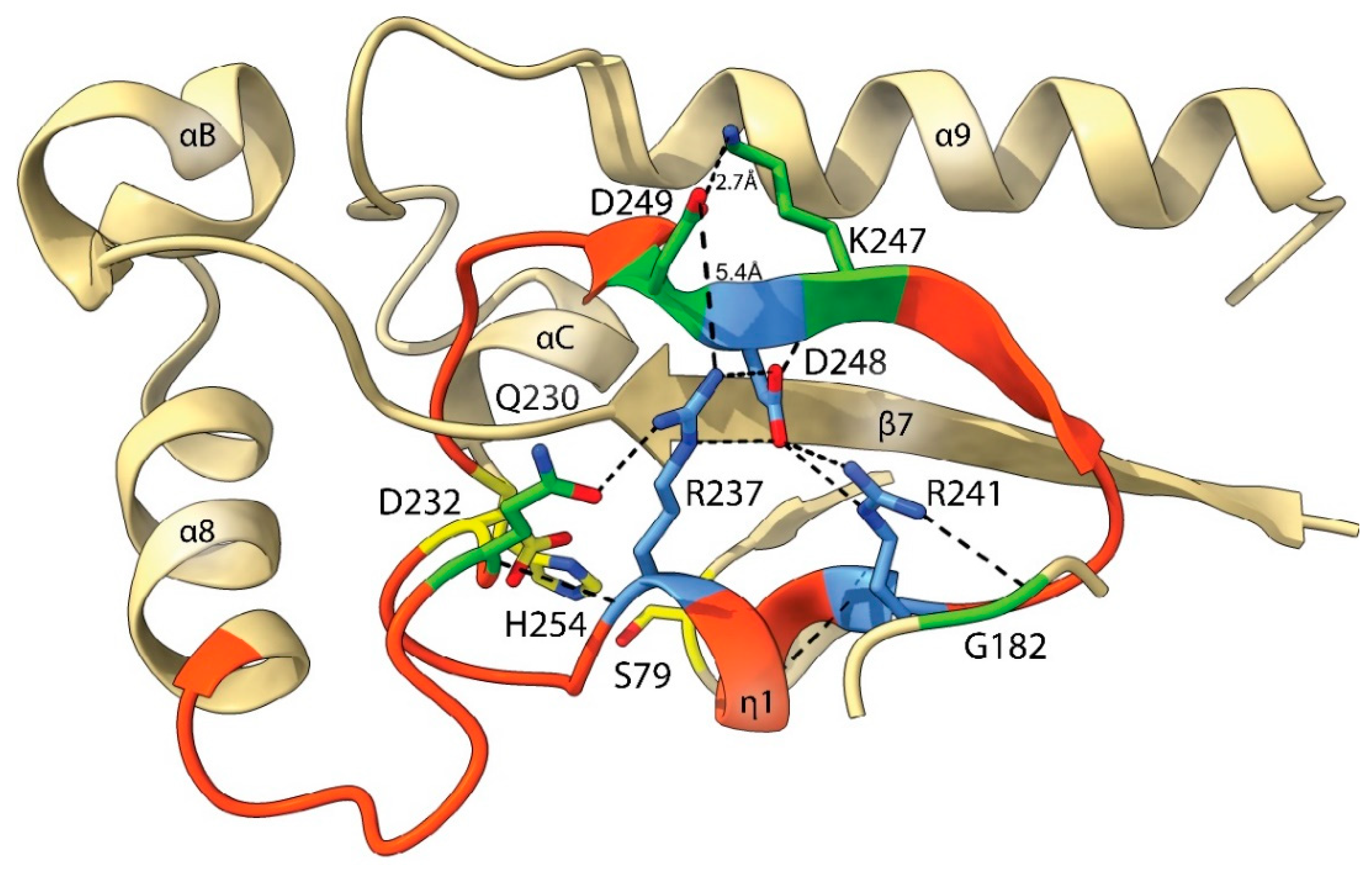 Catalysts 12 00761 g008 Catalysts 12 00761 g008