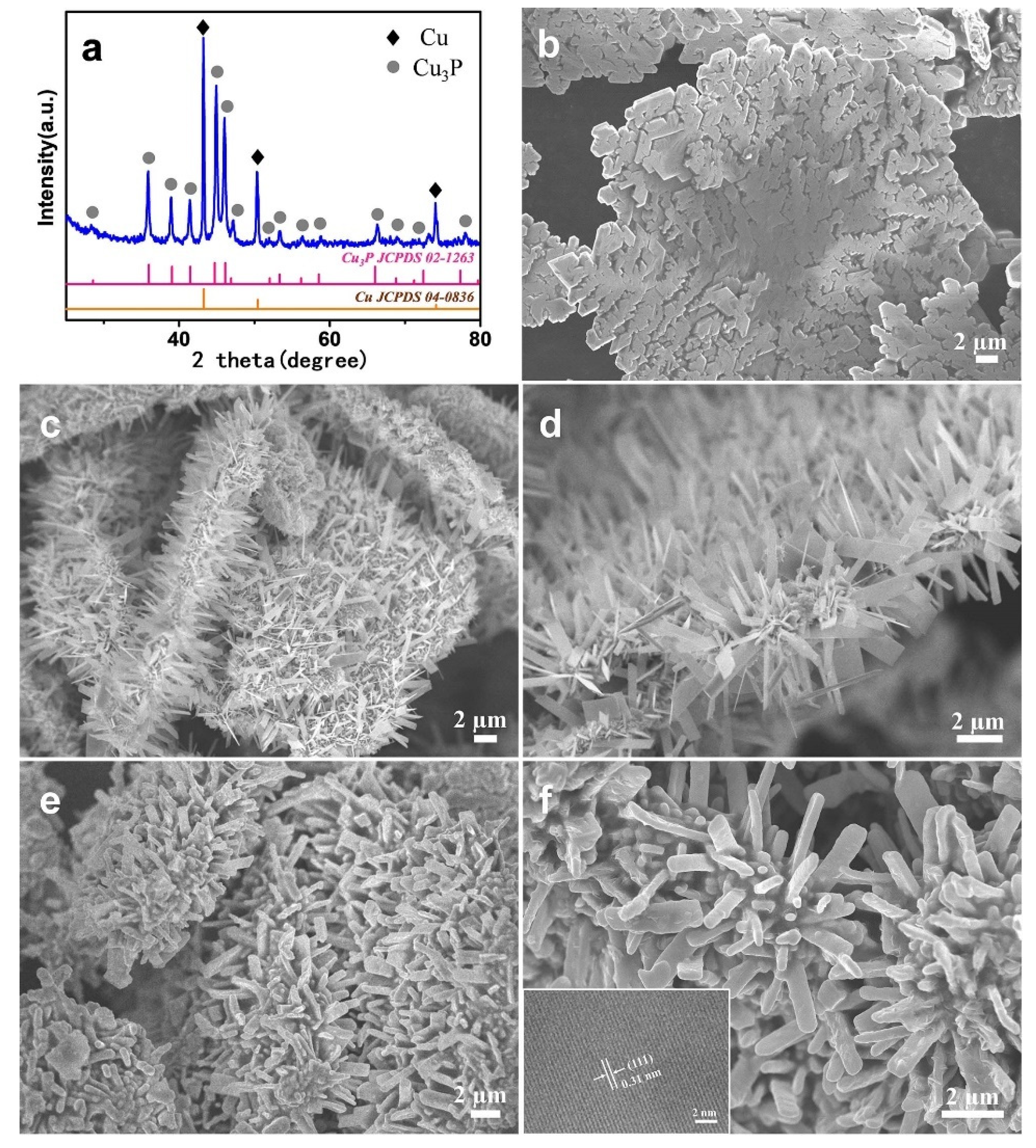 Catalysts 12 00762 g002 Catalysts 12 00762 g002