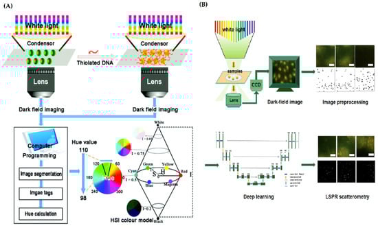 Catalysts 12 00764 g003 550