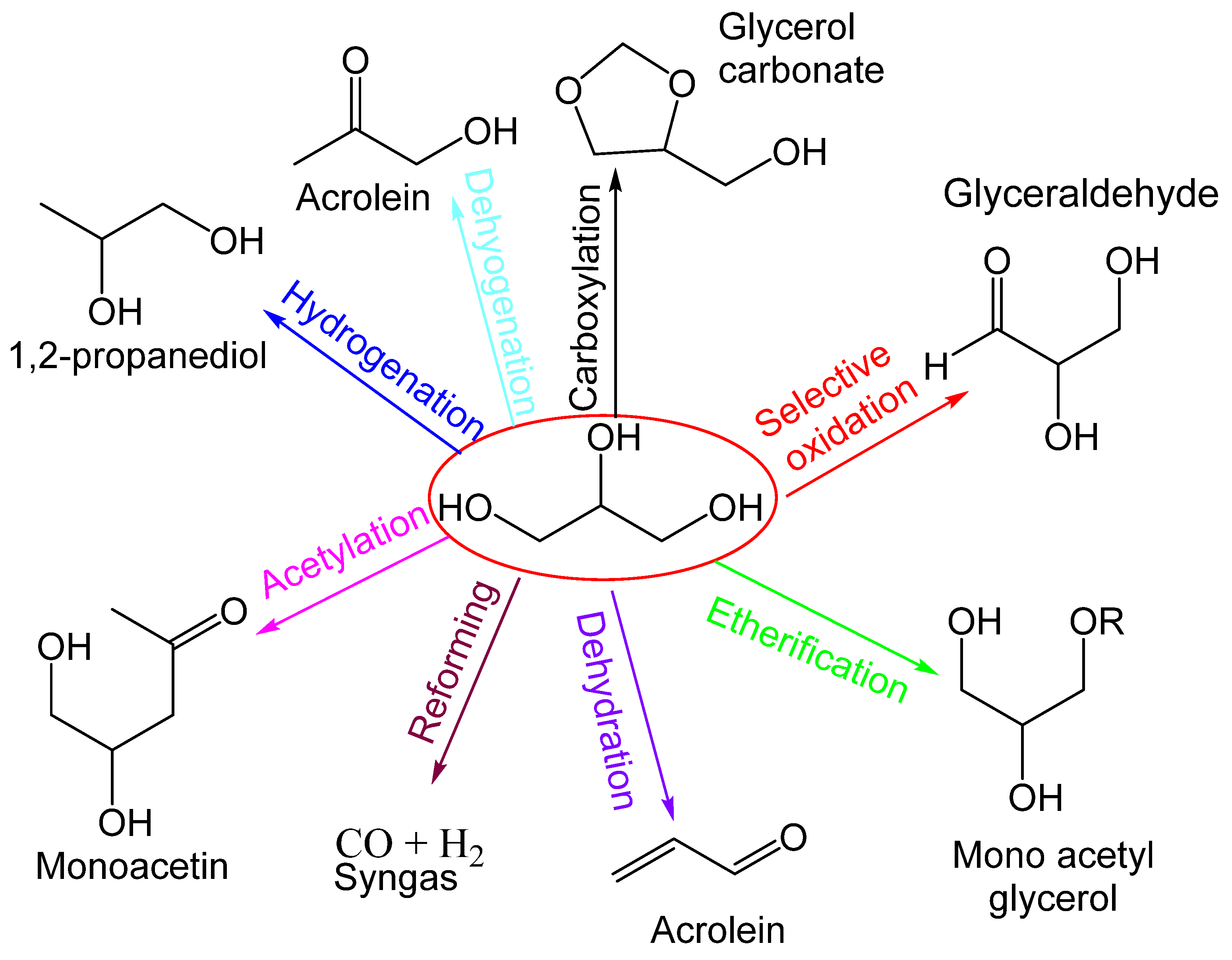 Catalysts 12 00767 g001
