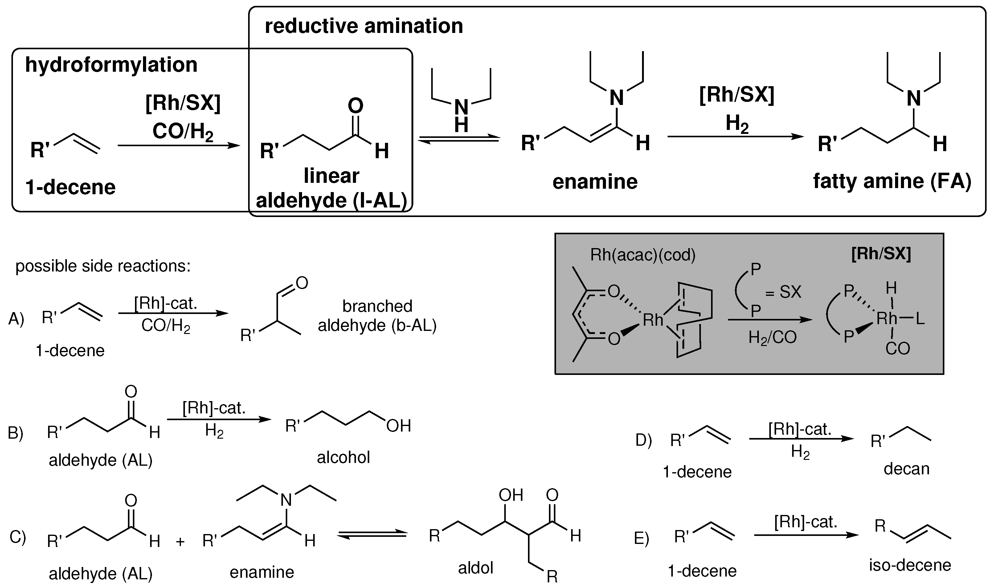 Catalysts 12 00773 g001