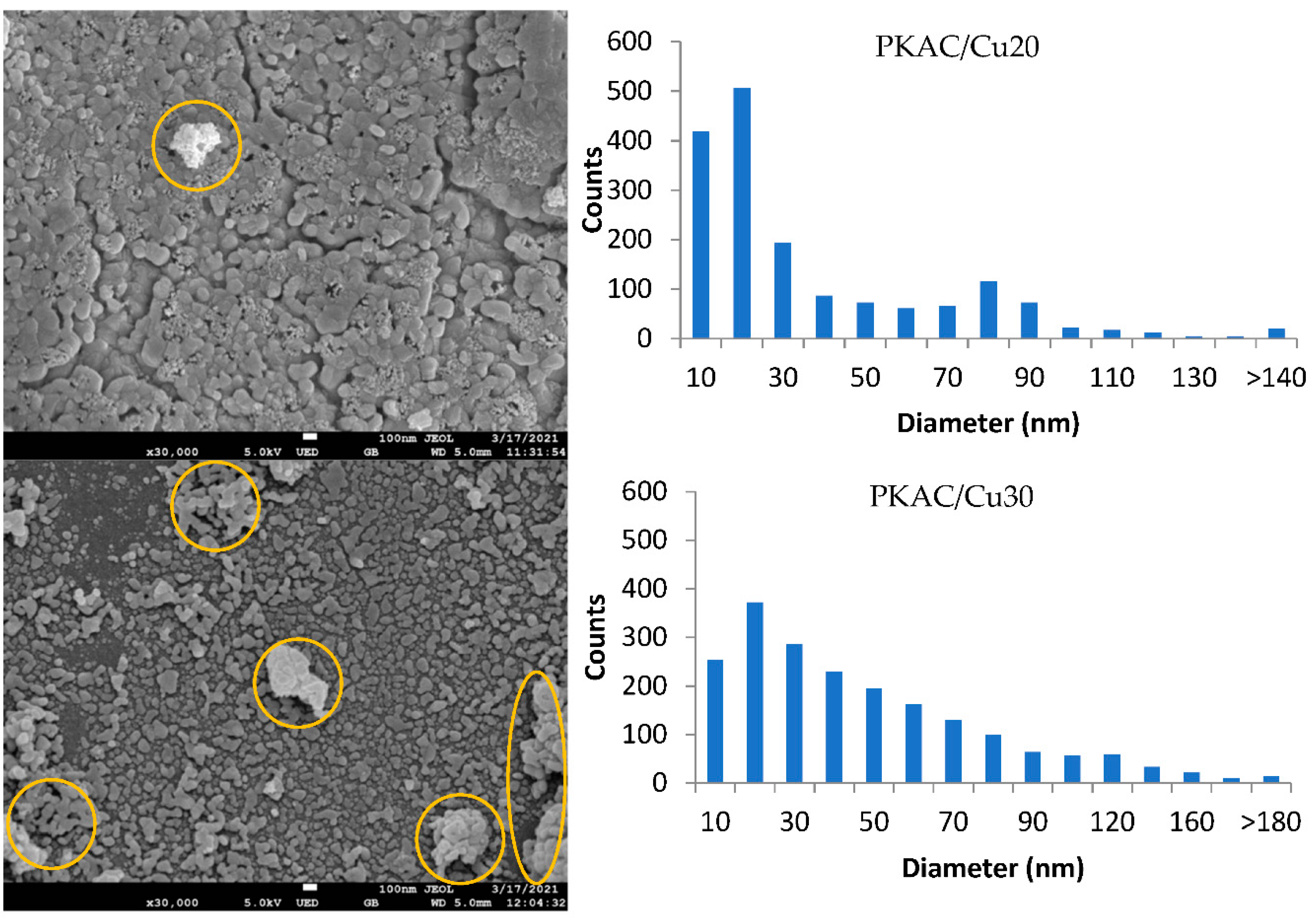 Catalysts 12 00779 g003