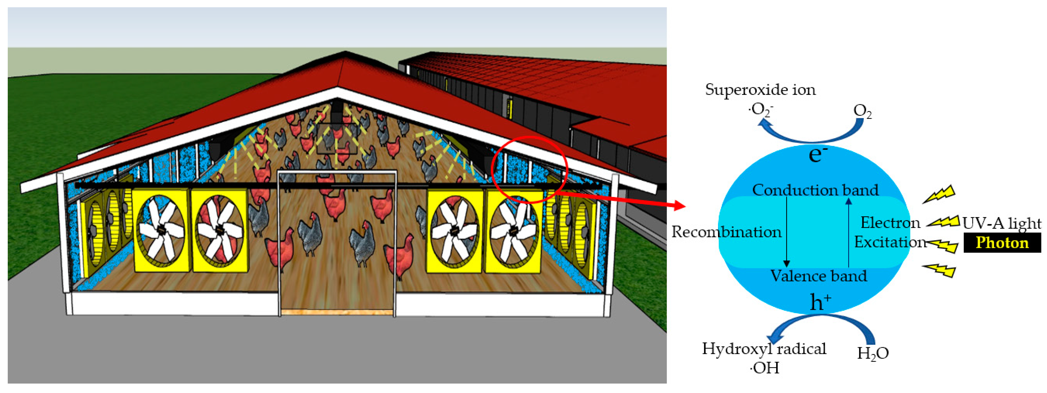 Catalysts 12 00782 g001 Catalysts 12 00782 g001