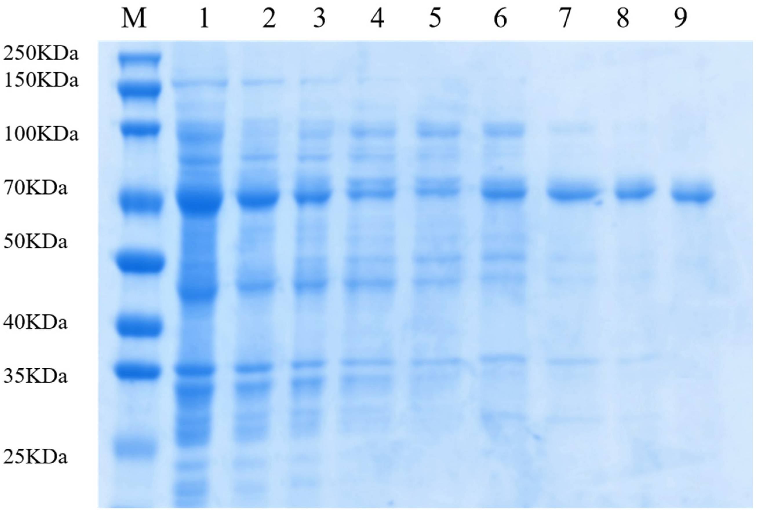 Catalysts 12 00784 g002