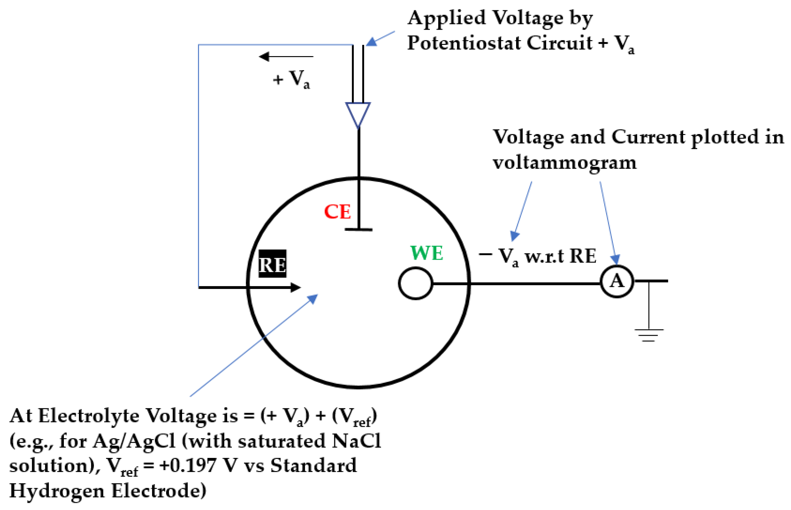 Catalysts 12 00791 g006