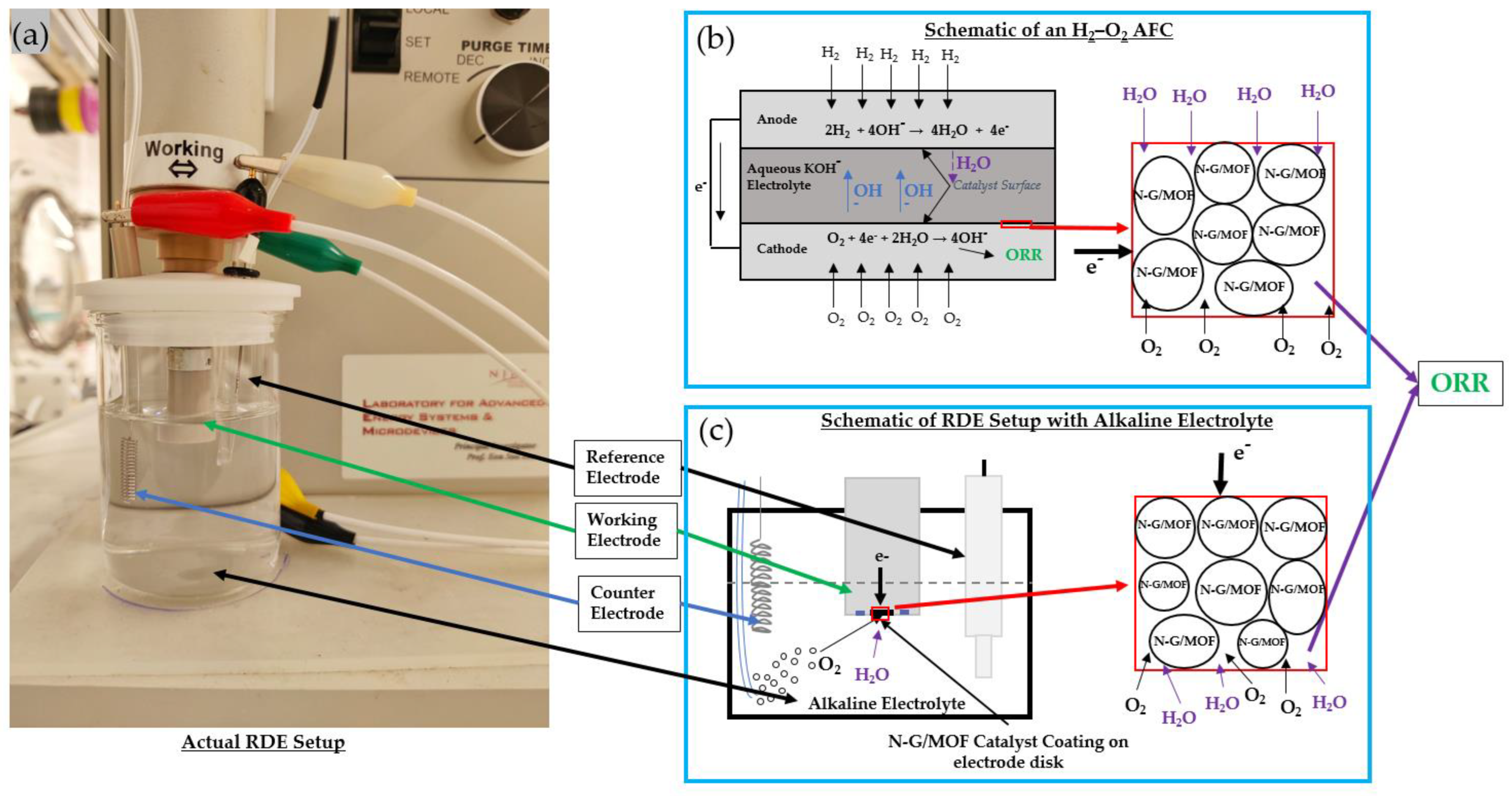Catalysts 12 00791 g008