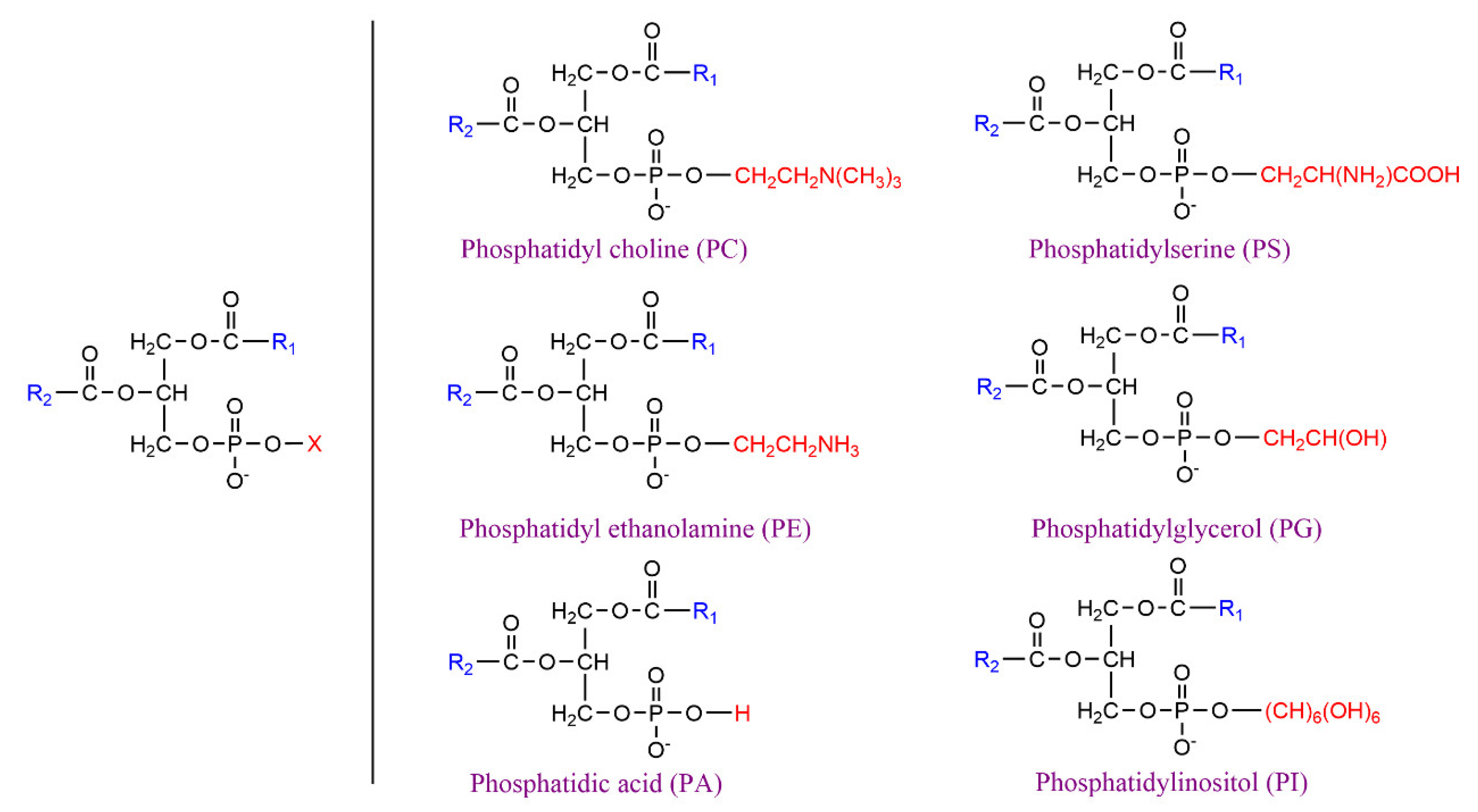 Catalysts 12 00795 g001