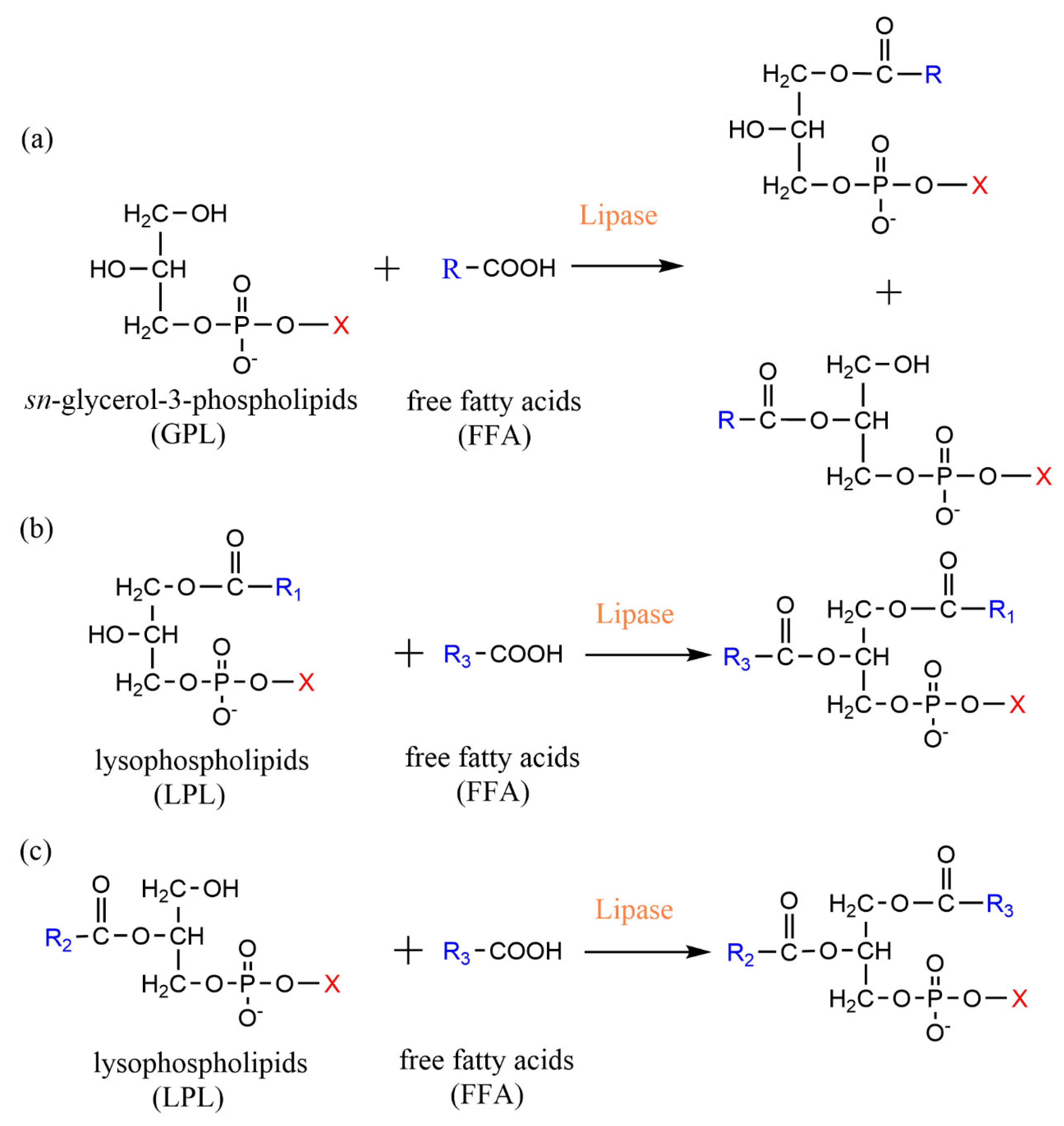 Catalysts 12 00795 g002
