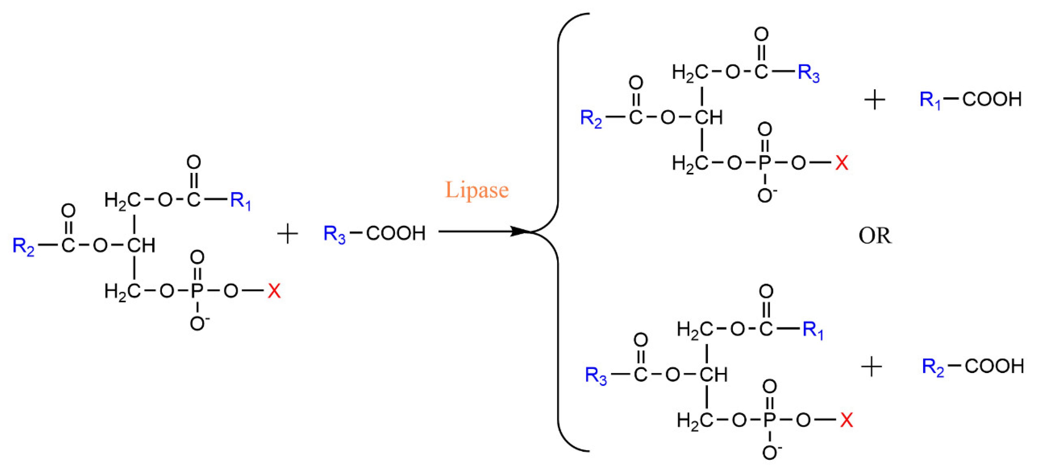 Catalysts 12 00795 g003