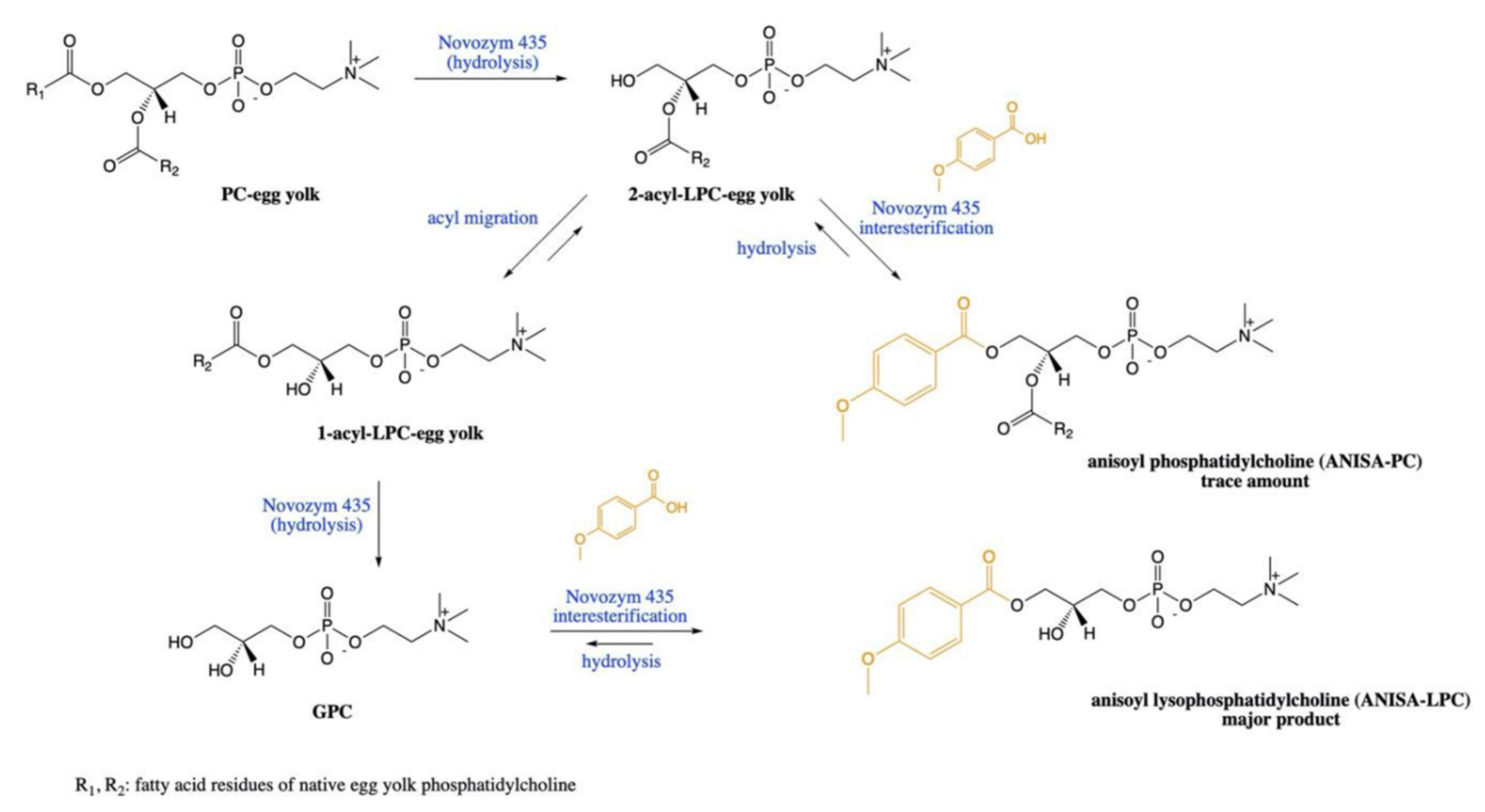 Catalysts 12 00795 g004