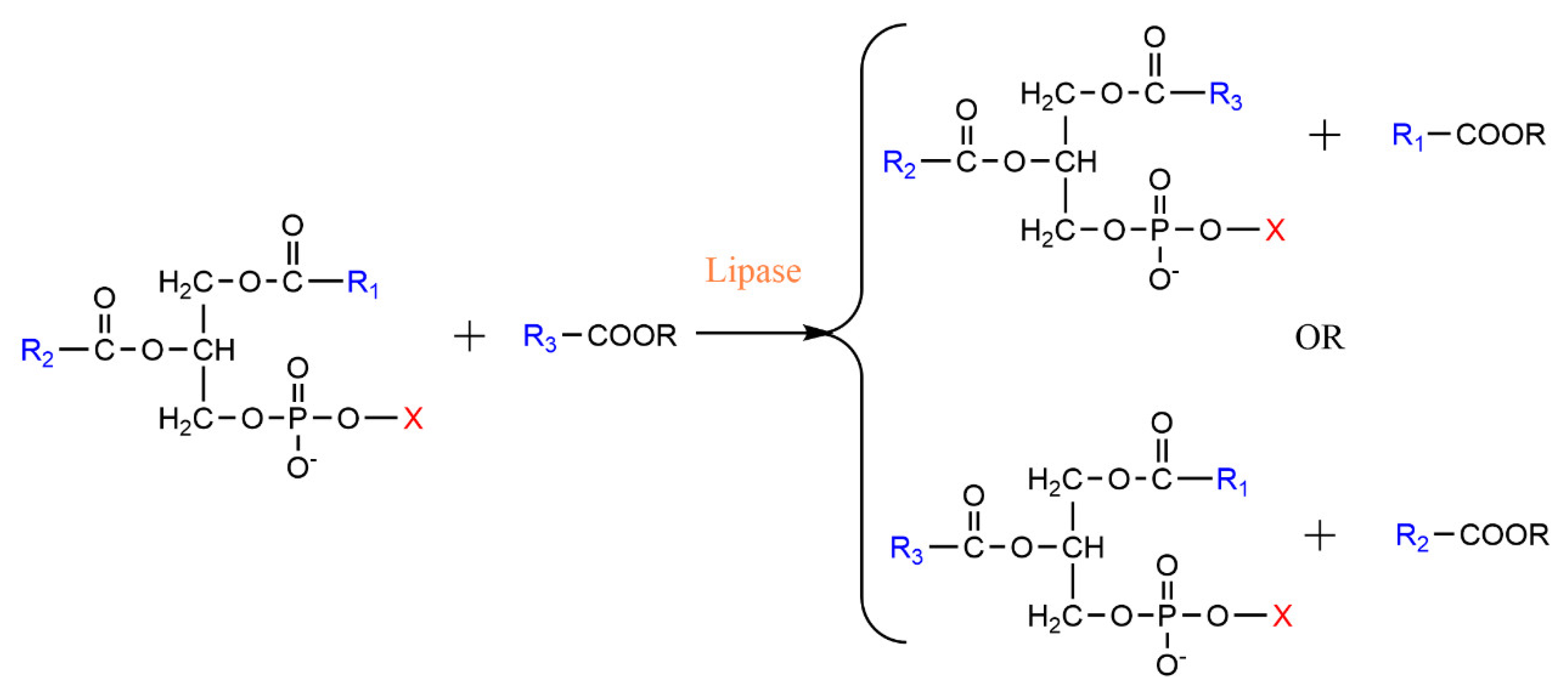 Catalysts 12 00795 g005