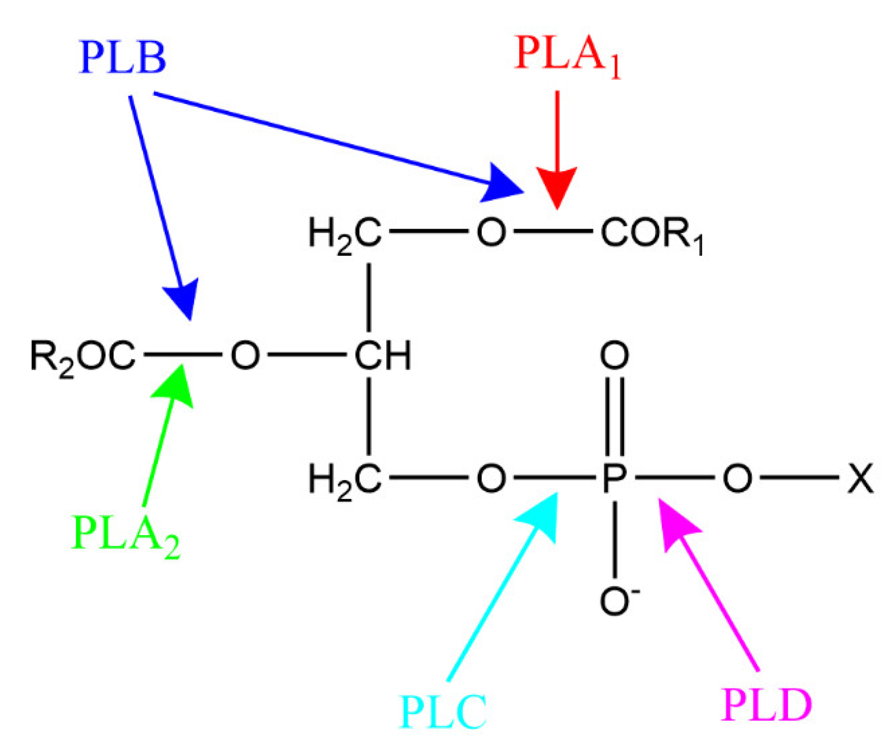 Catalysts 12 00795 g006