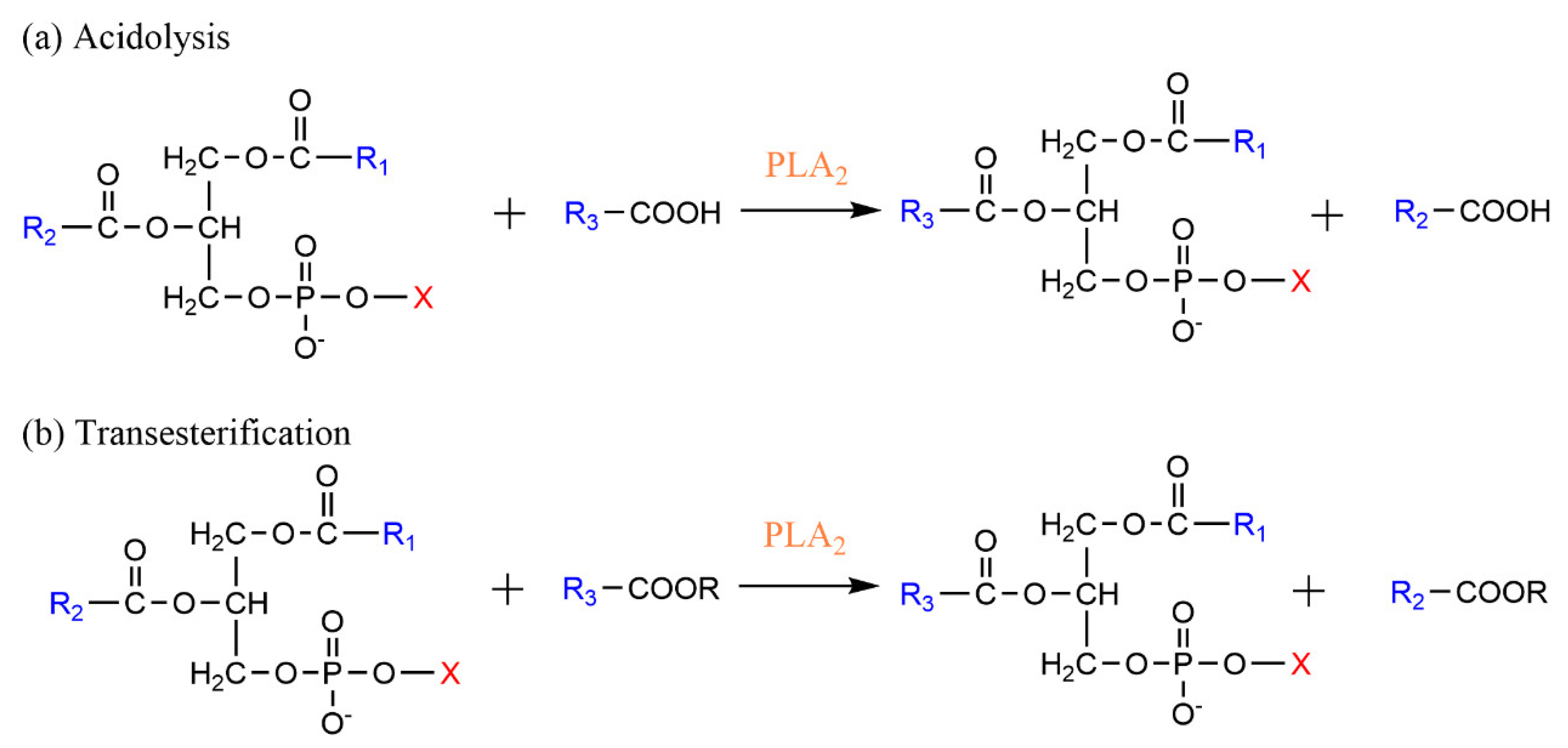 Catalysts 12 00795 g008