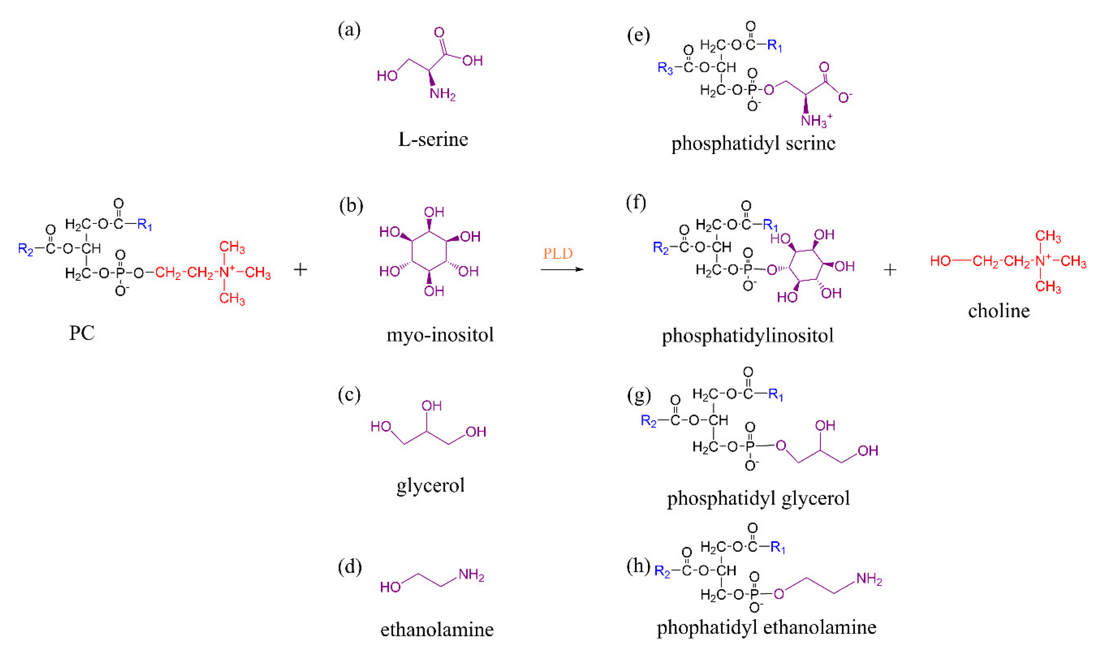 Catalysts 12 00795 g009