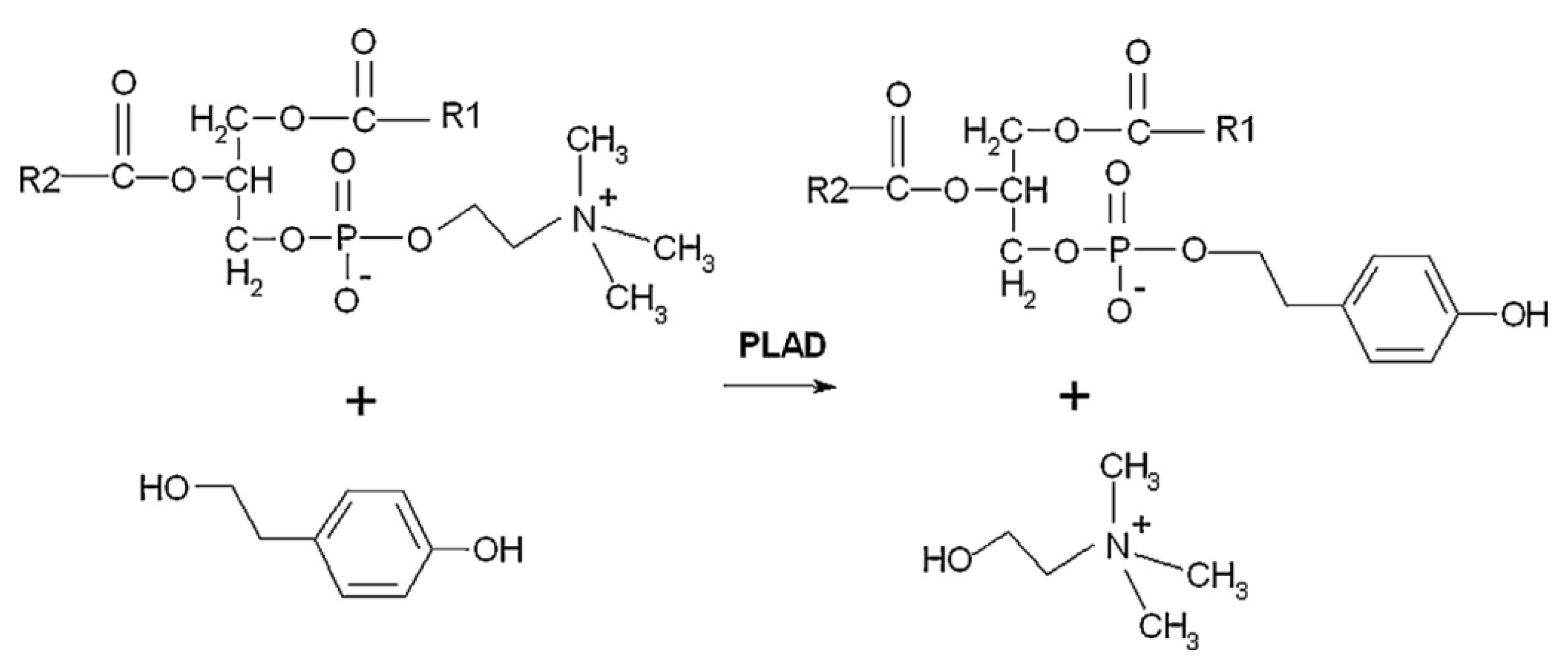 Catalysts 12 00795 g010