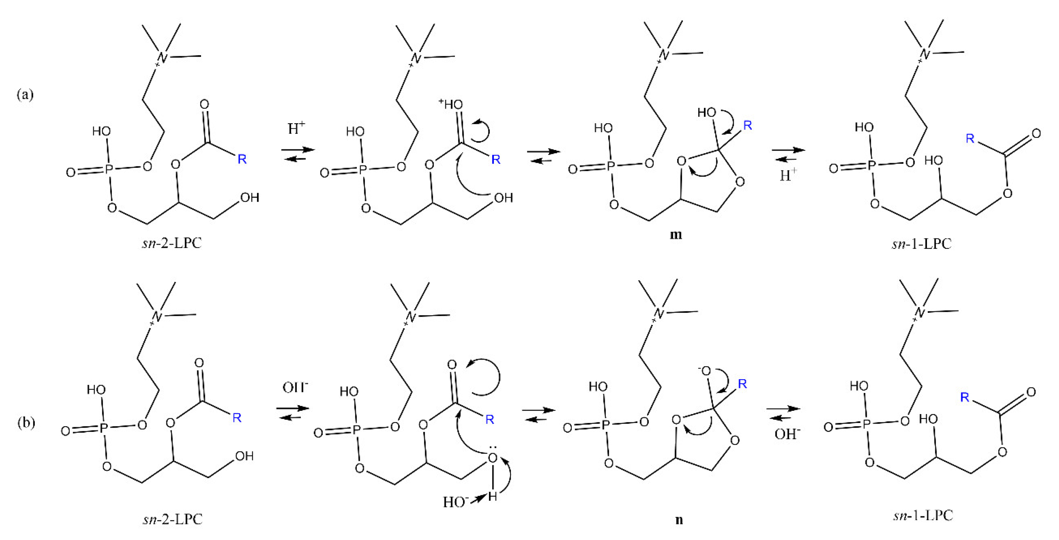 Catalysts 12 00795 g011