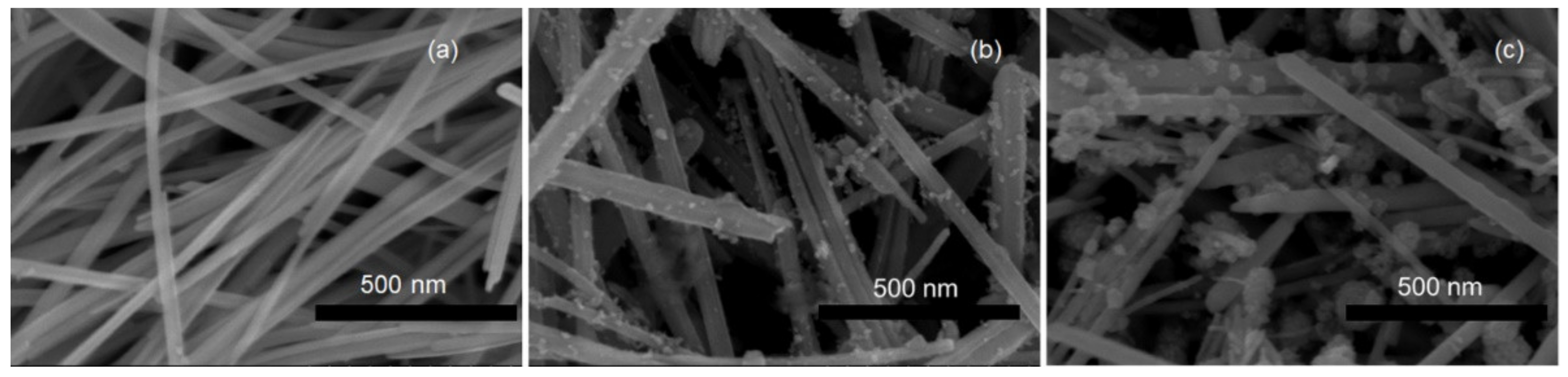 Catalysts 12 00801 g001