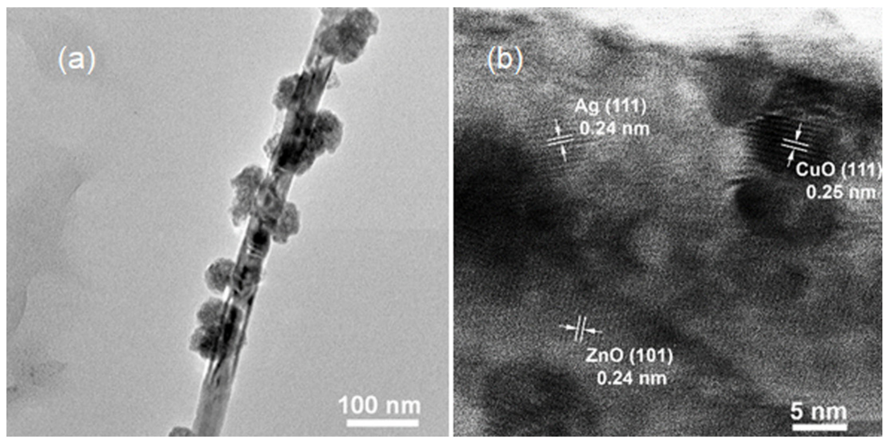 Catalysts 12 00801 g002