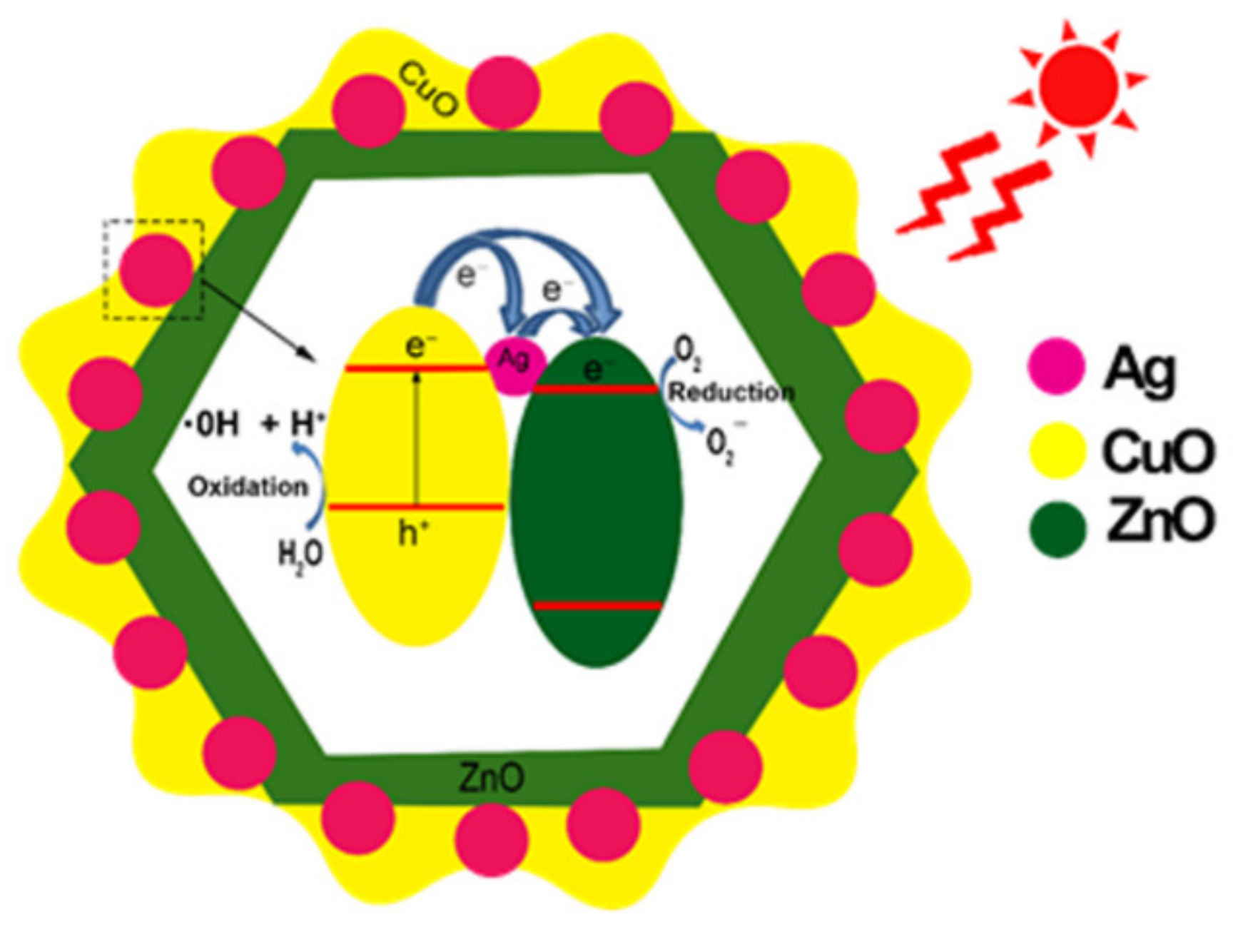 Catalysts 12 00801 g007