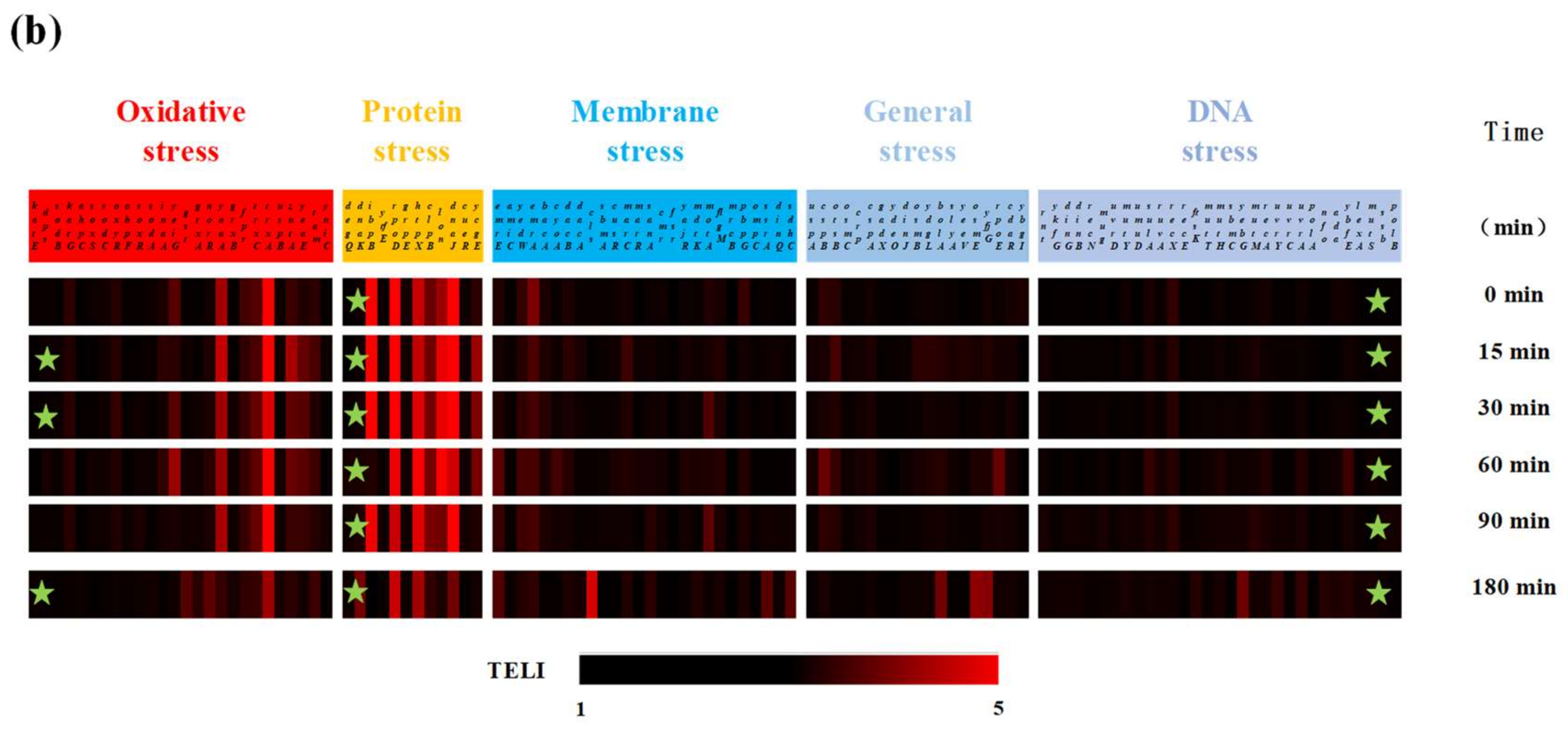 Catalysts 12 00815 g003b Catalysts 12 00815 g003b