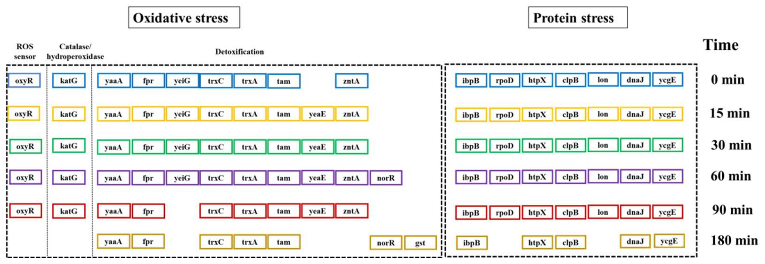 Catalysts 12 00815 g004 Catalysts 12 00815 g004