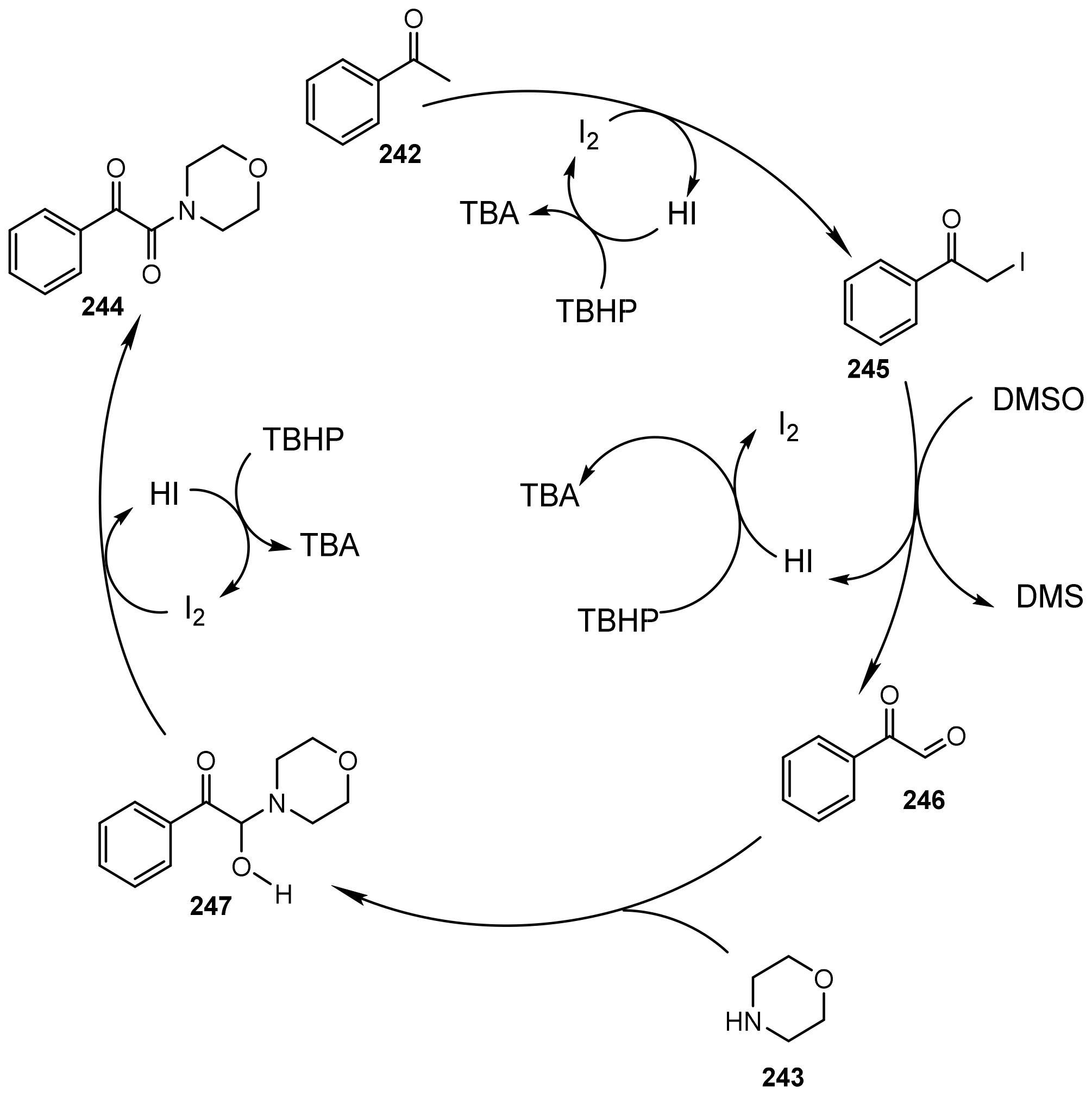 Catalysts 12 00821 sch069