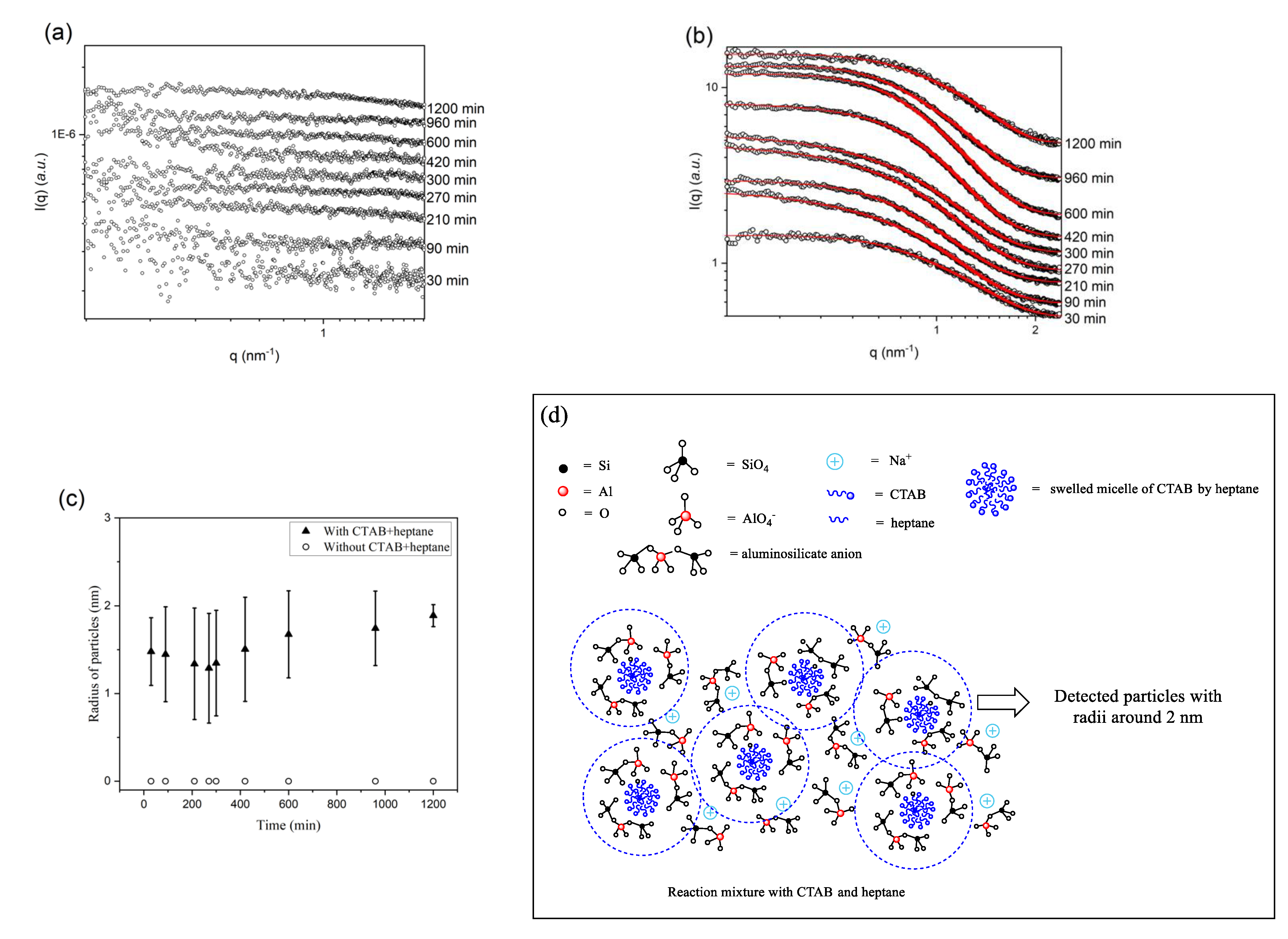 Catalysts 12 00823 g004