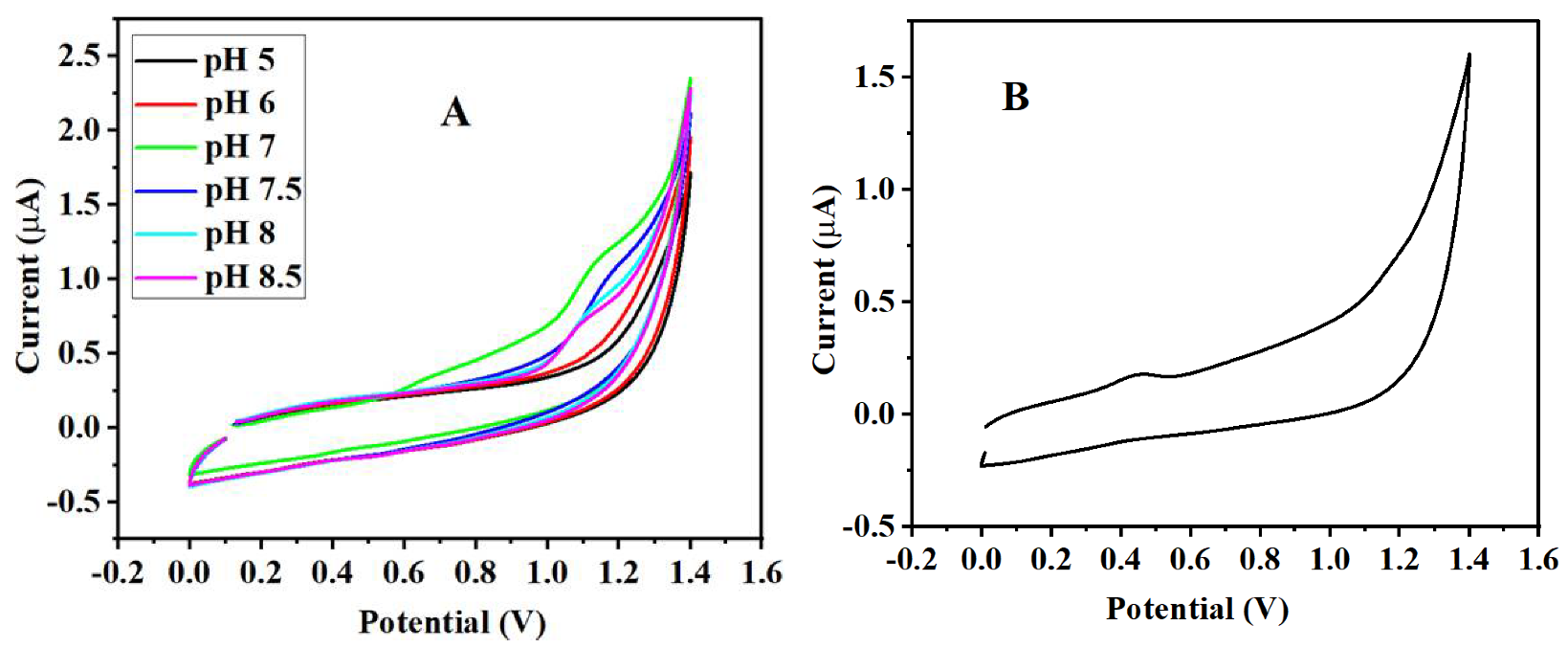 Catalysts 12 00830 g006