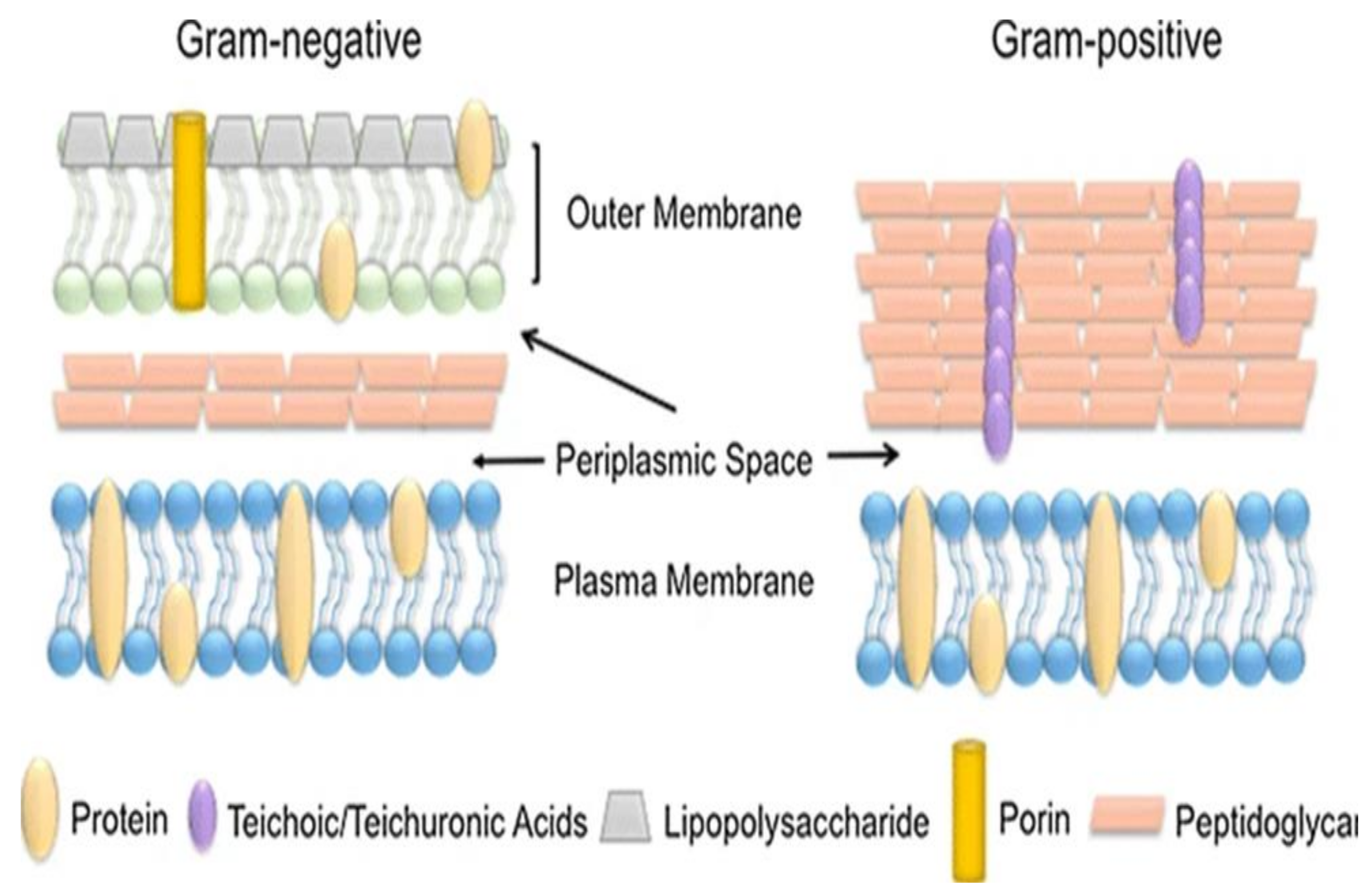 Catalysts 12 00833 g004