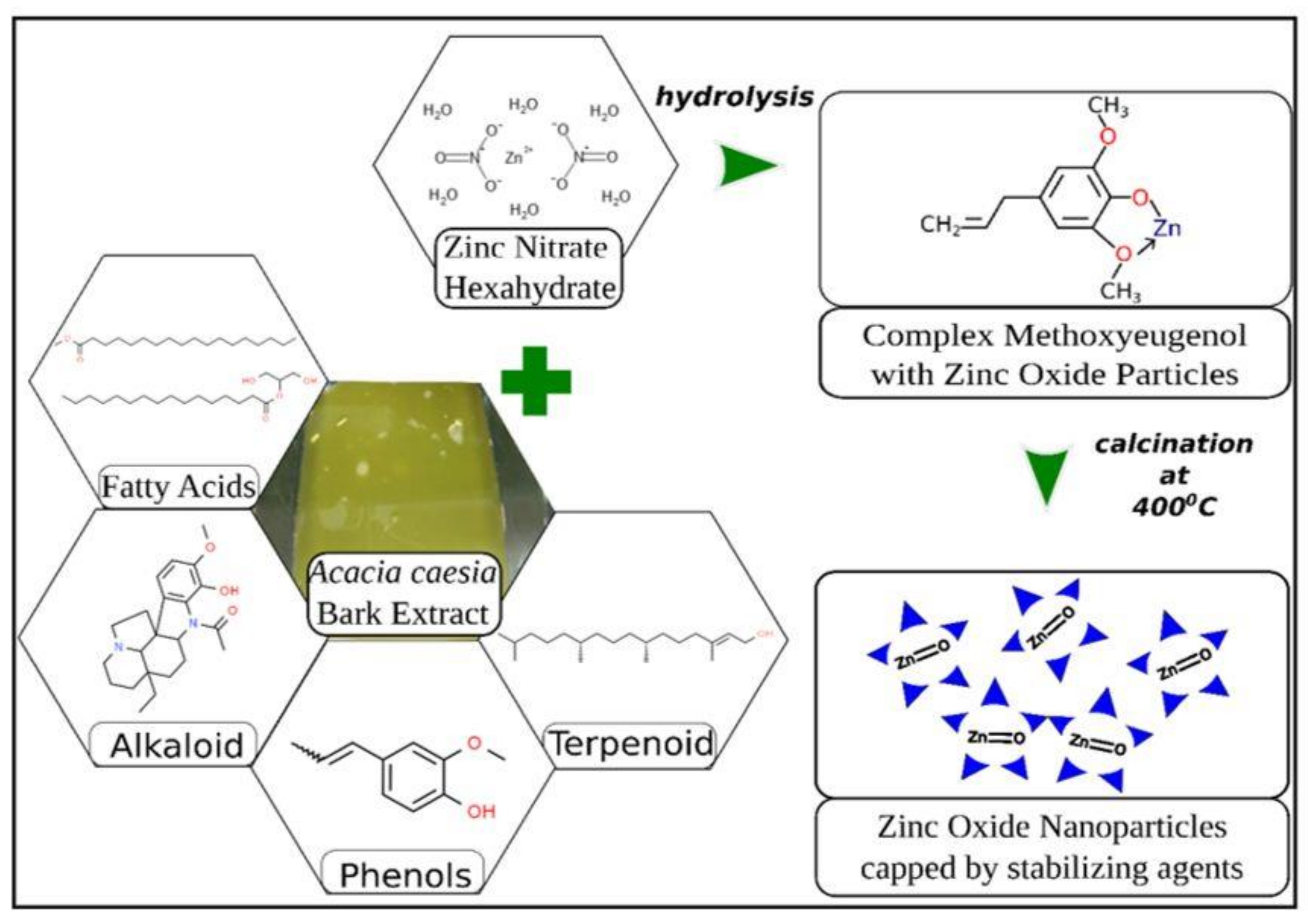 Catalysts 12 00833 g011