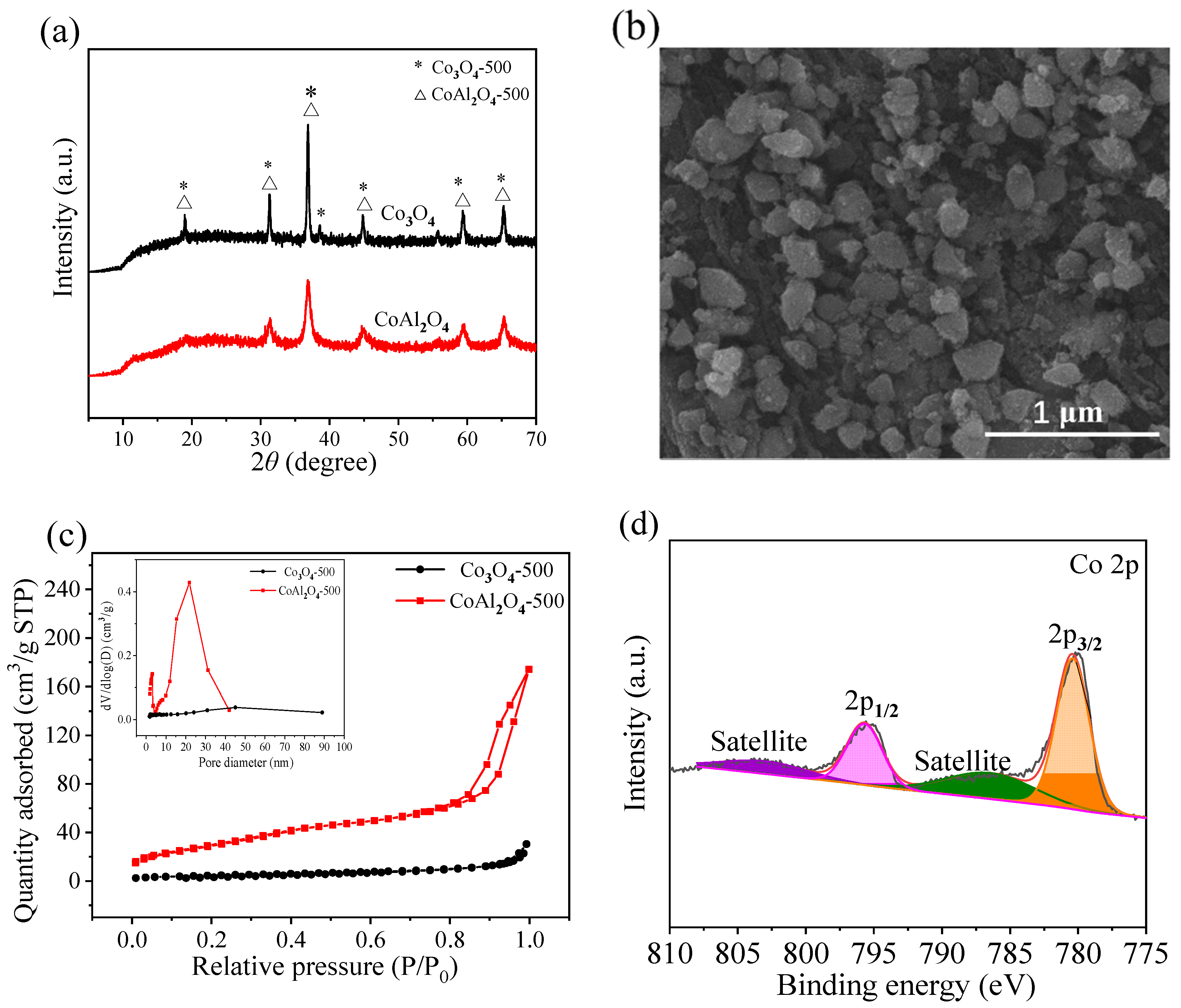 Catalysts 12 00847 g001