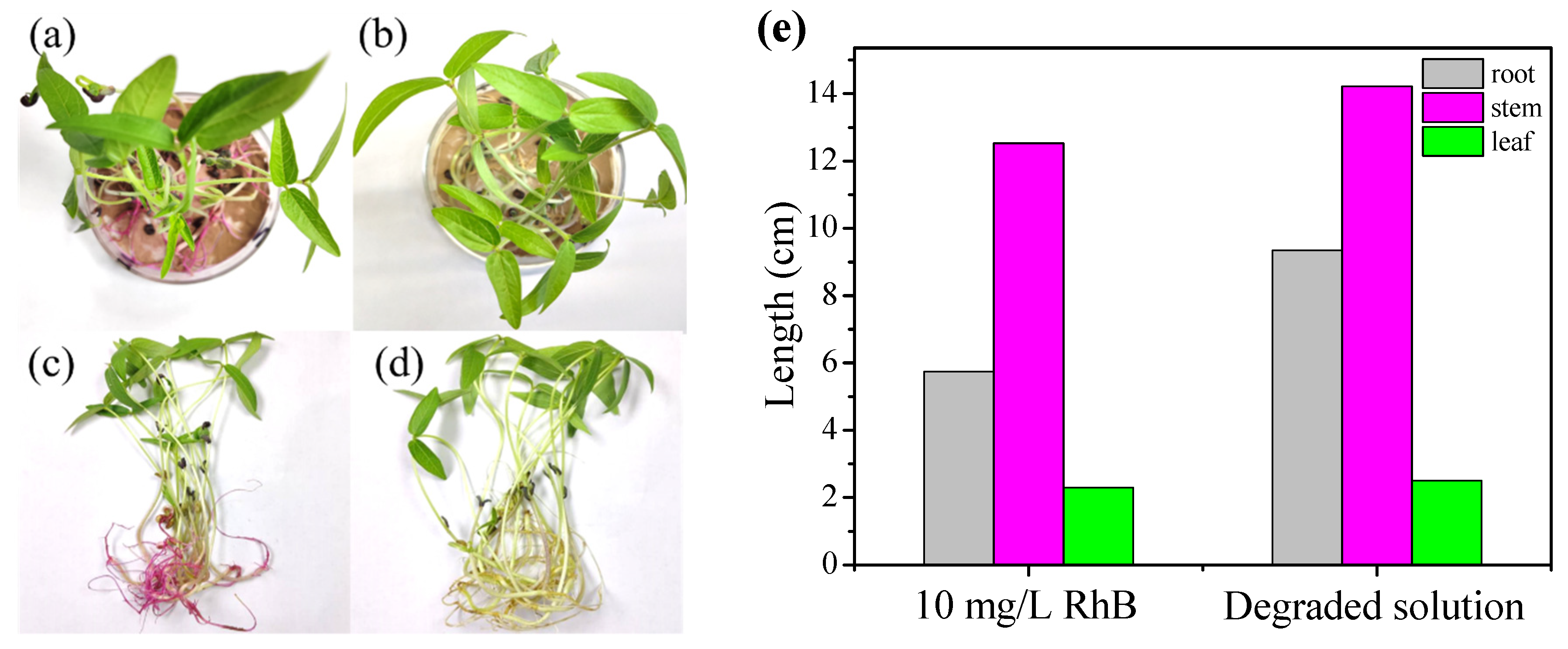 Catalysts 12 00847 g006