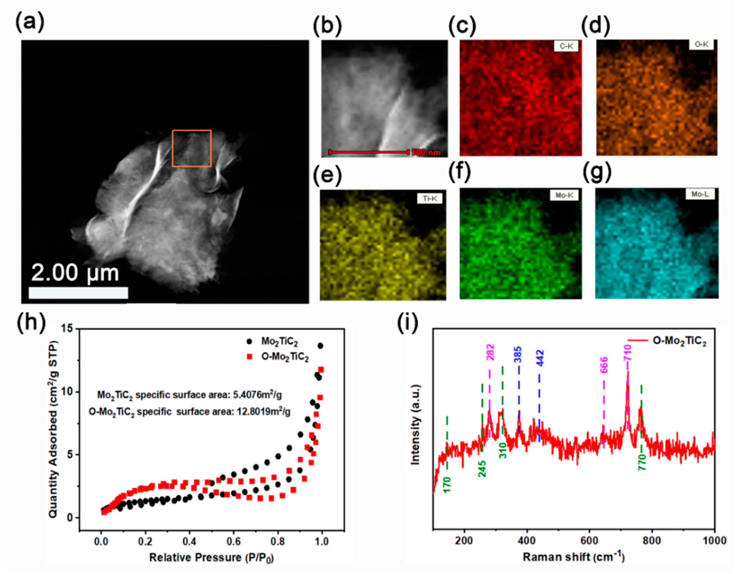 Catalysts 12 00850 g002
