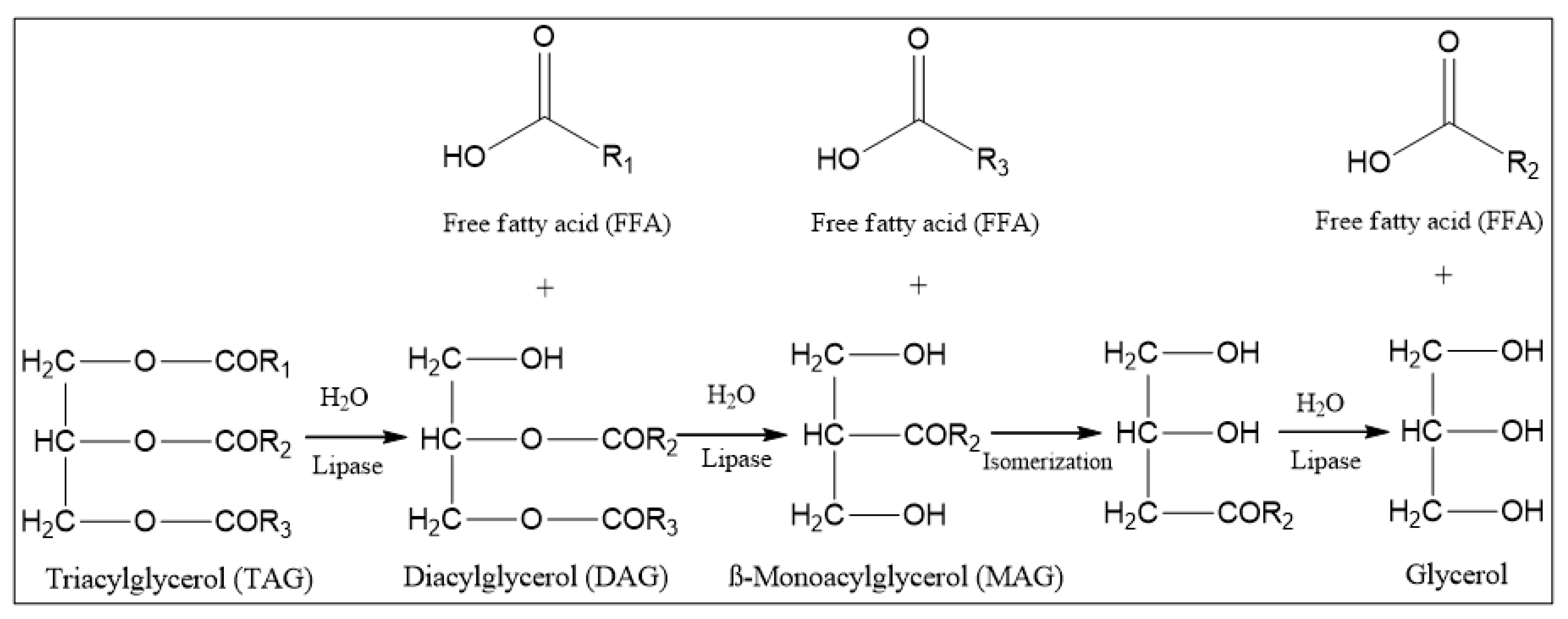 Catalysts 12 00853 g001