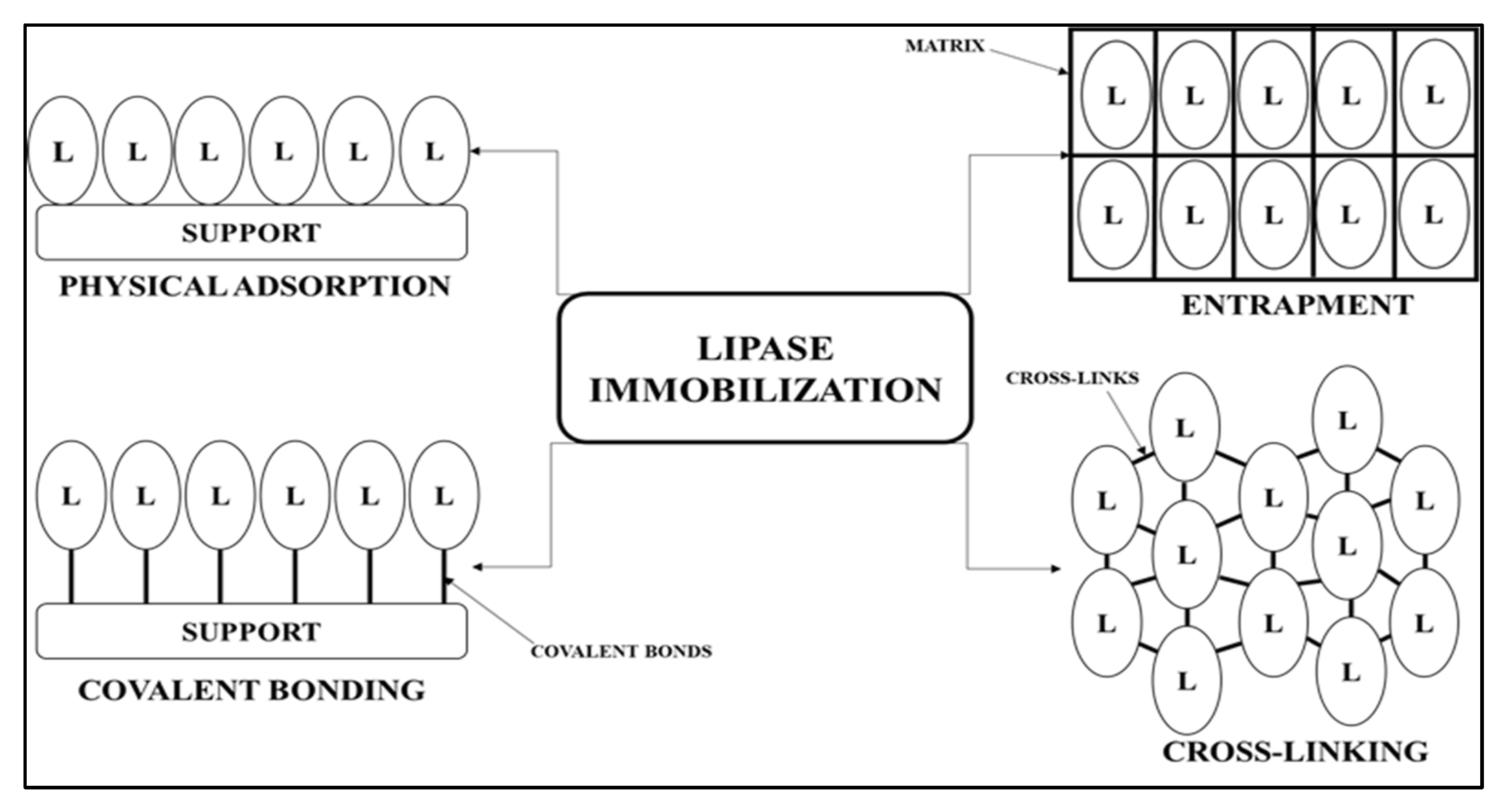 Catalysts 12 00853 g002