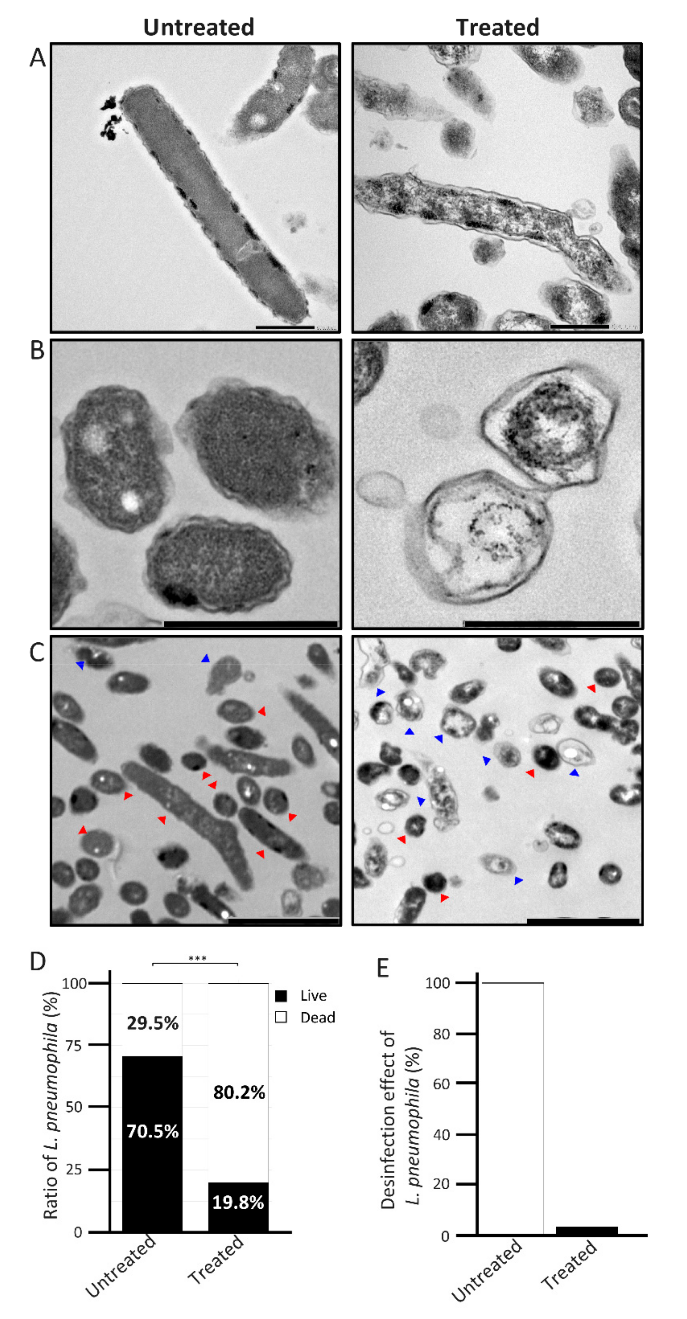 Catalysts 12 00856 g004